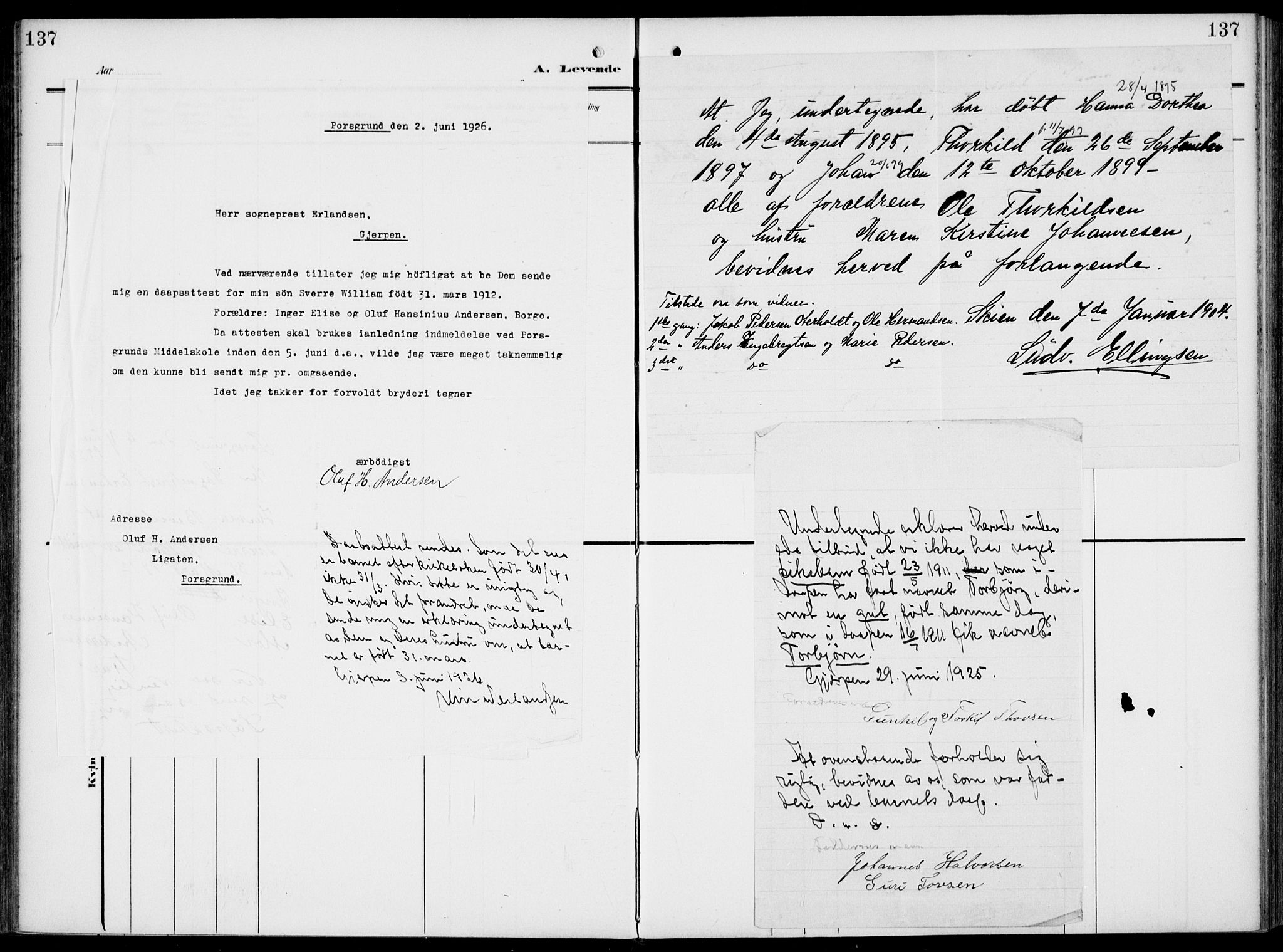 Gjerpen kirkebøker, SAKO/A-265/F/Fa/L0012: Parish register (official) no. I 12, 1905-1913, p. 137