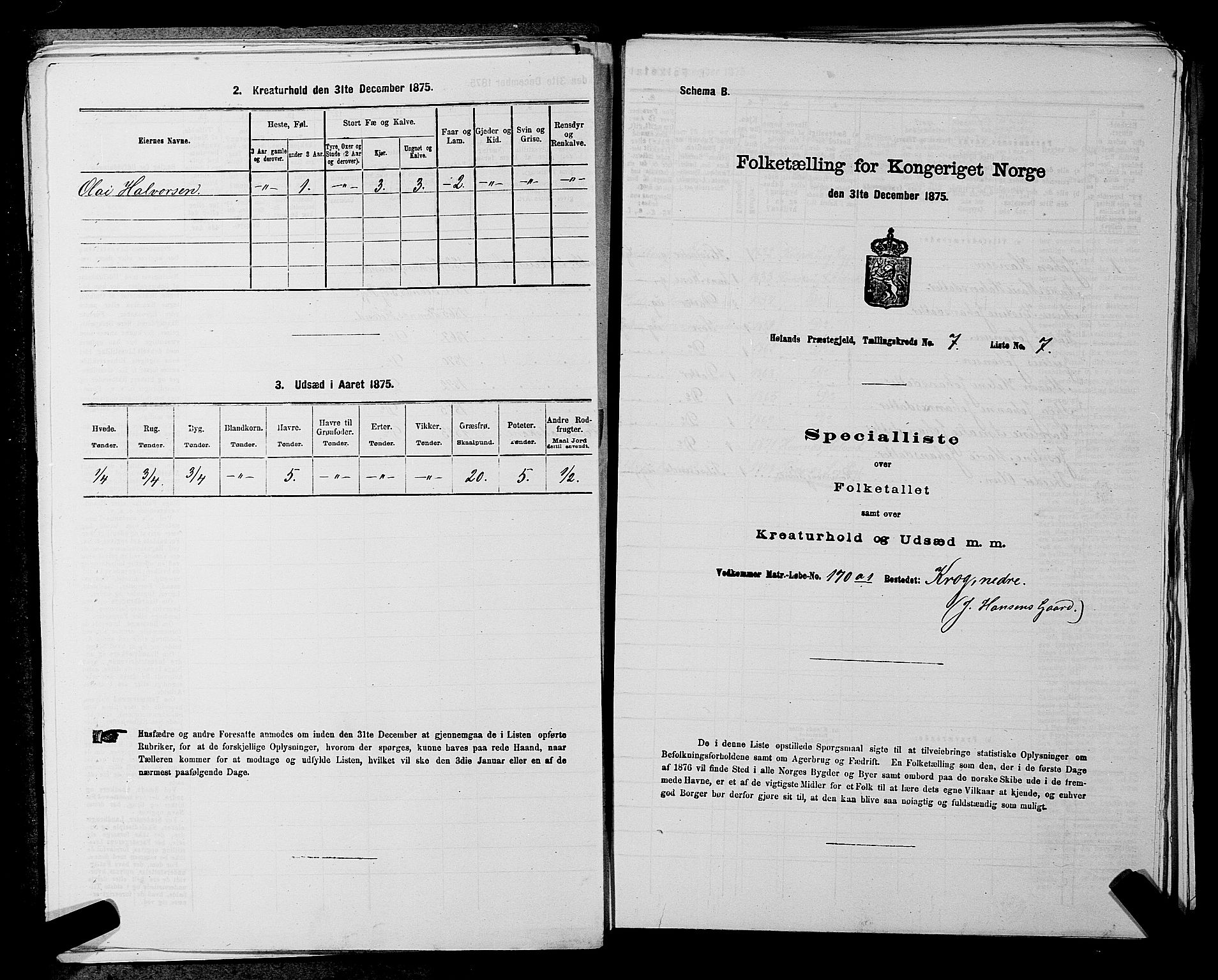 RA, 1875 census for 0221P Høland, 1875, p. 1250