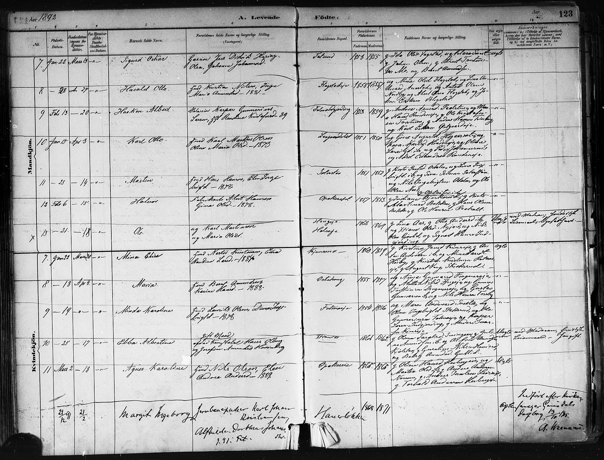 Nes prestekontor Kirkebøker, AV/SAO-A-10410/F/Fa/L0010: Parish register (official) no. I 10, 1883-1898, p. 123