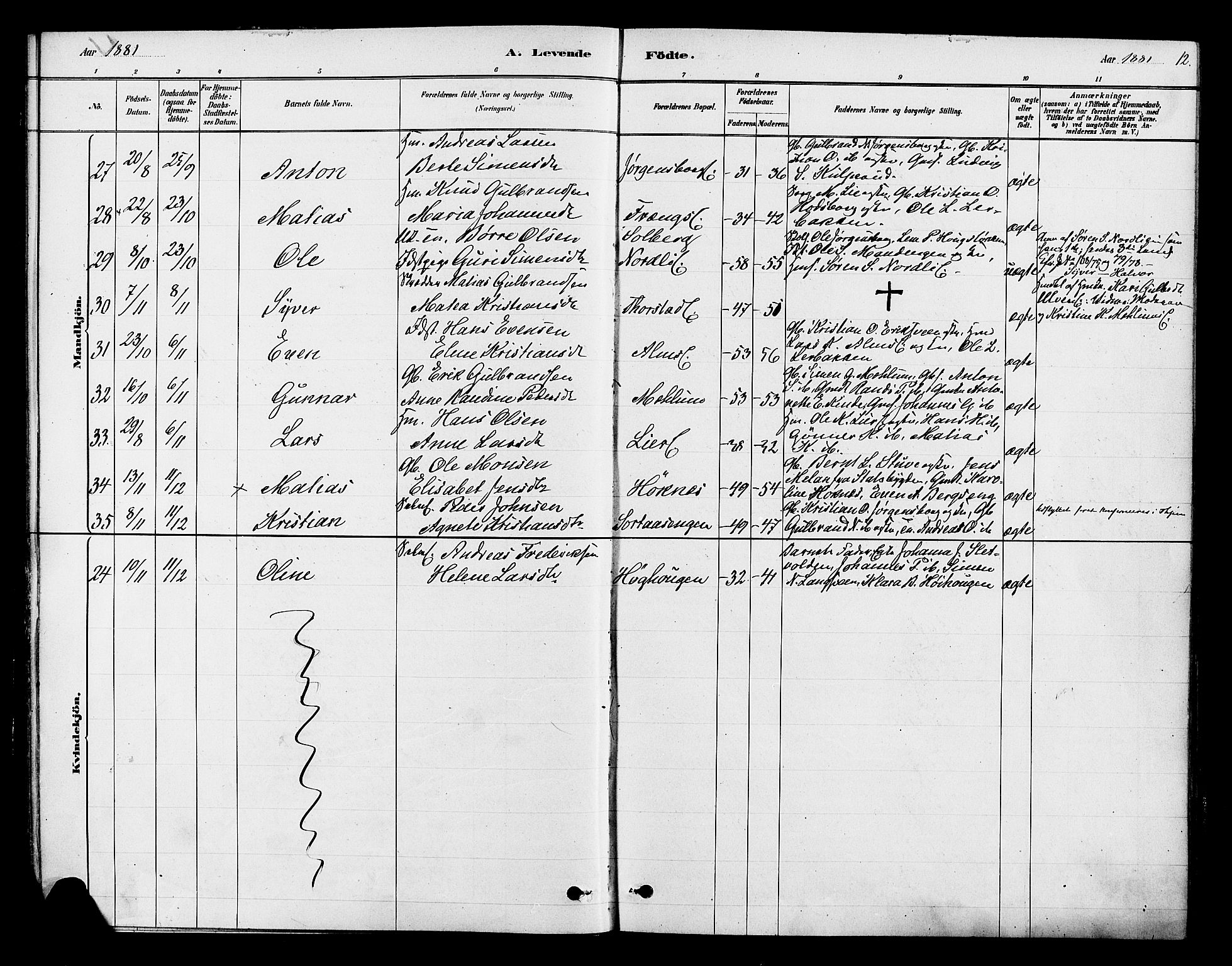 Ringsaker prestekontor, AV/SAH-PREST-014/K/Ka/L0013: Parish register (official) no. 13, 1879-1890, p. 12