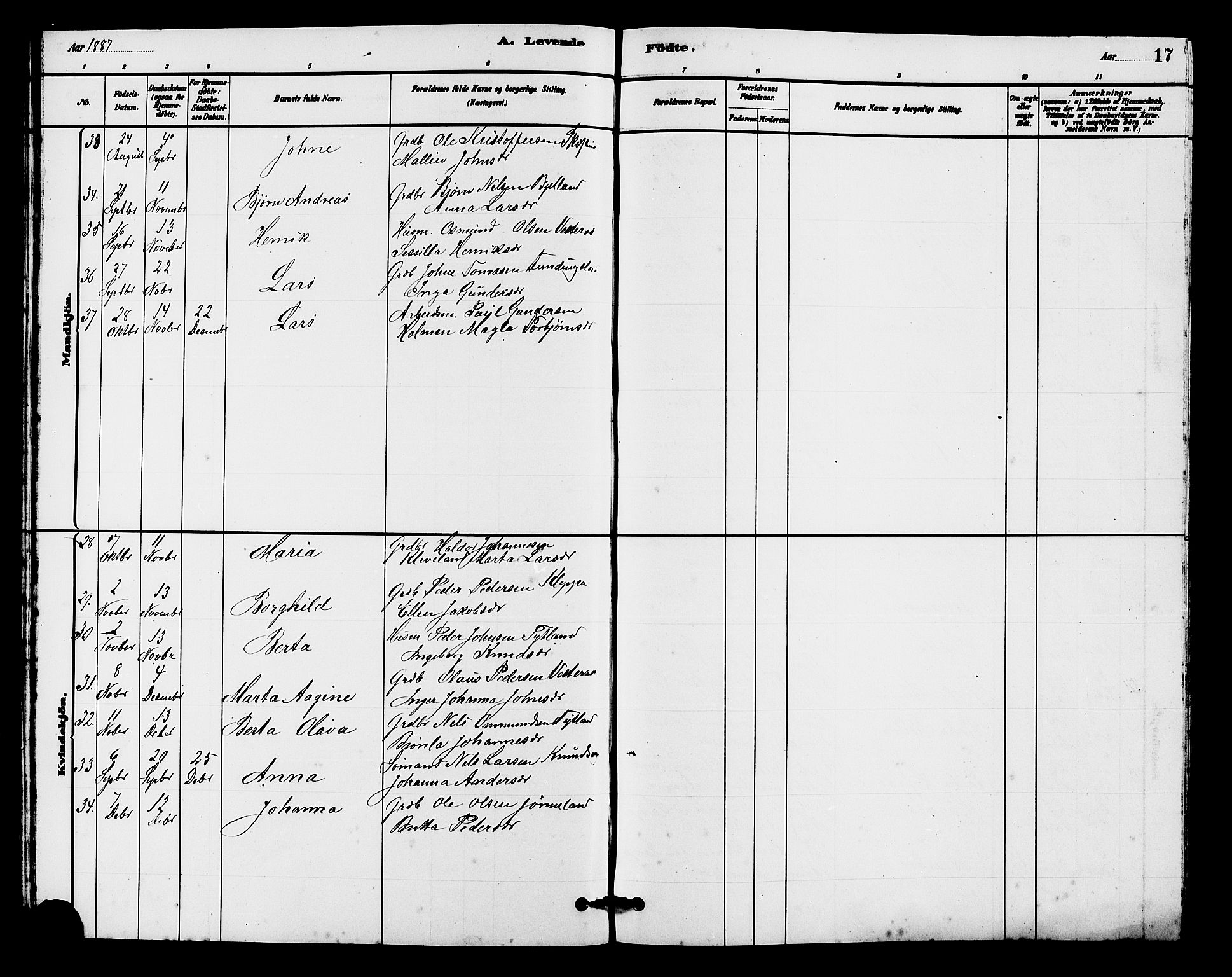 Hjelmeland sokneprestkontor, SAST/A-101843/01/V/L0007: Parish register (copy) no. B 7, 1880-1909, p. 17