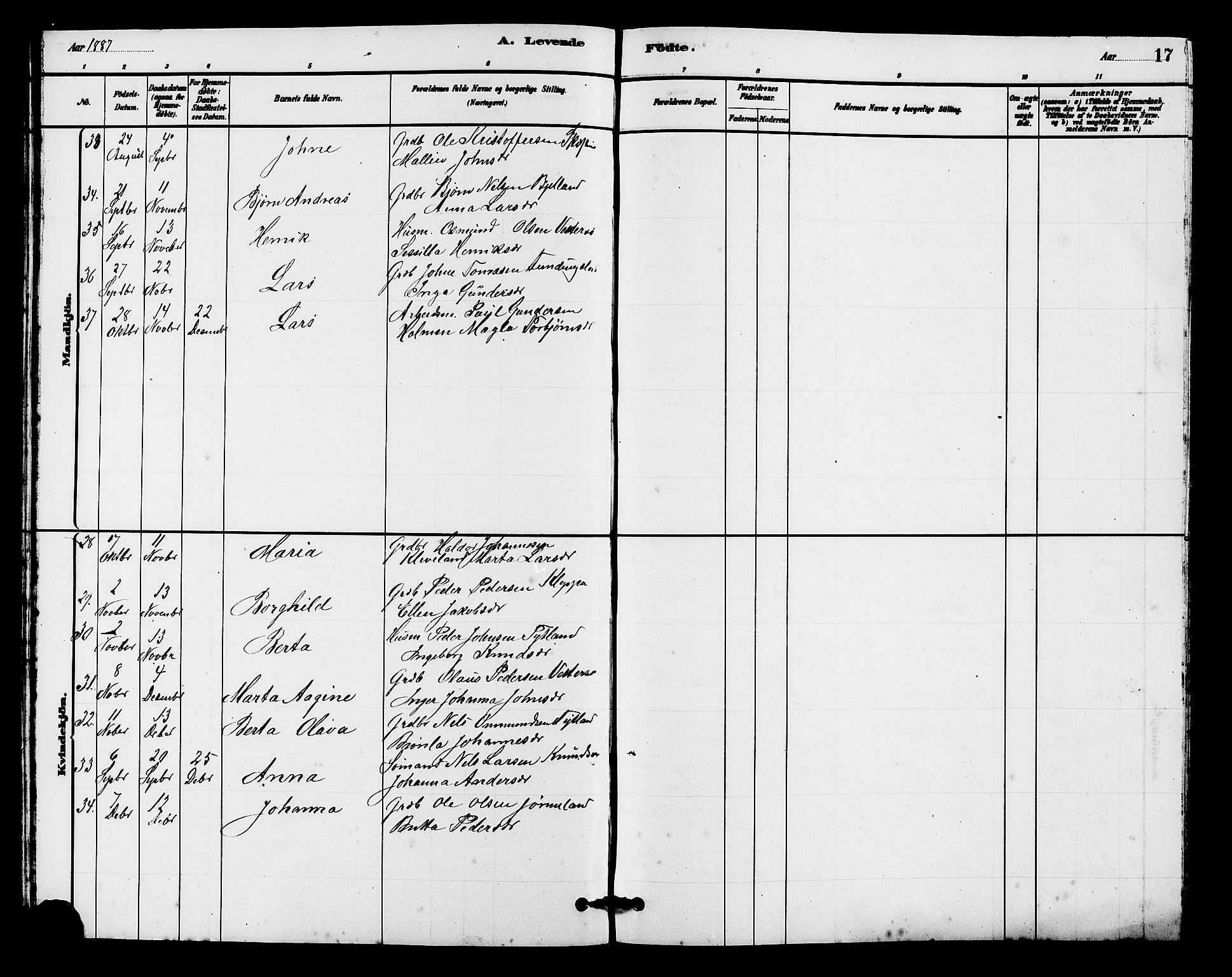 Hjelmeland sokneprestkontor, AV/SAST-A-101843/01/V/L0007: Parish register (copy) no. B 7, 1880-1909, p. 17