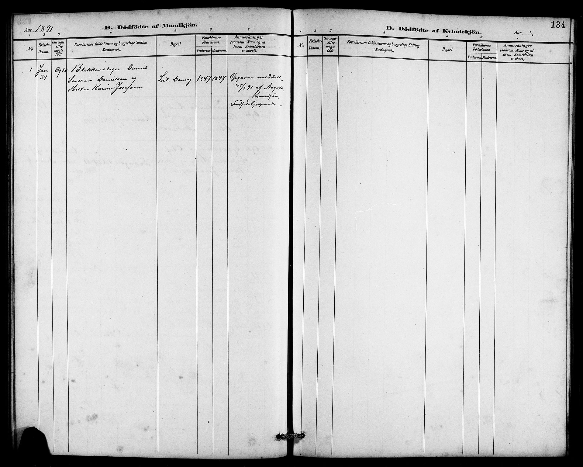 Laksevåg Sokneprestembete, SAB/A-76501/H/Ha/Hab/Haba/L0003: Parish register (copy) no. A 3, 1887-1899, p. 134