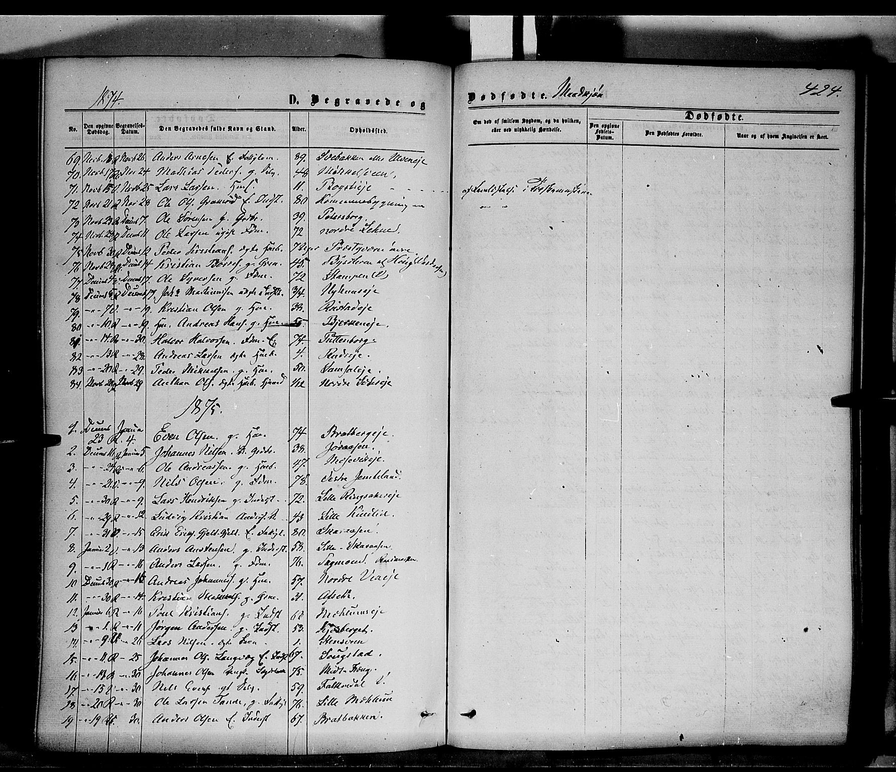 Ringsaker prestekontor, SAH/PREST-014/K/Ka/L0011: Parish register (official) no. 11, 1870-1878, p. 424