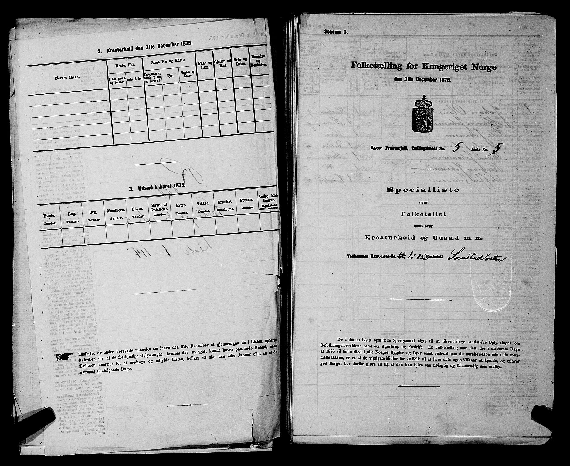 RA, 1875 census for 0136P Rygge, 1875, p. 808