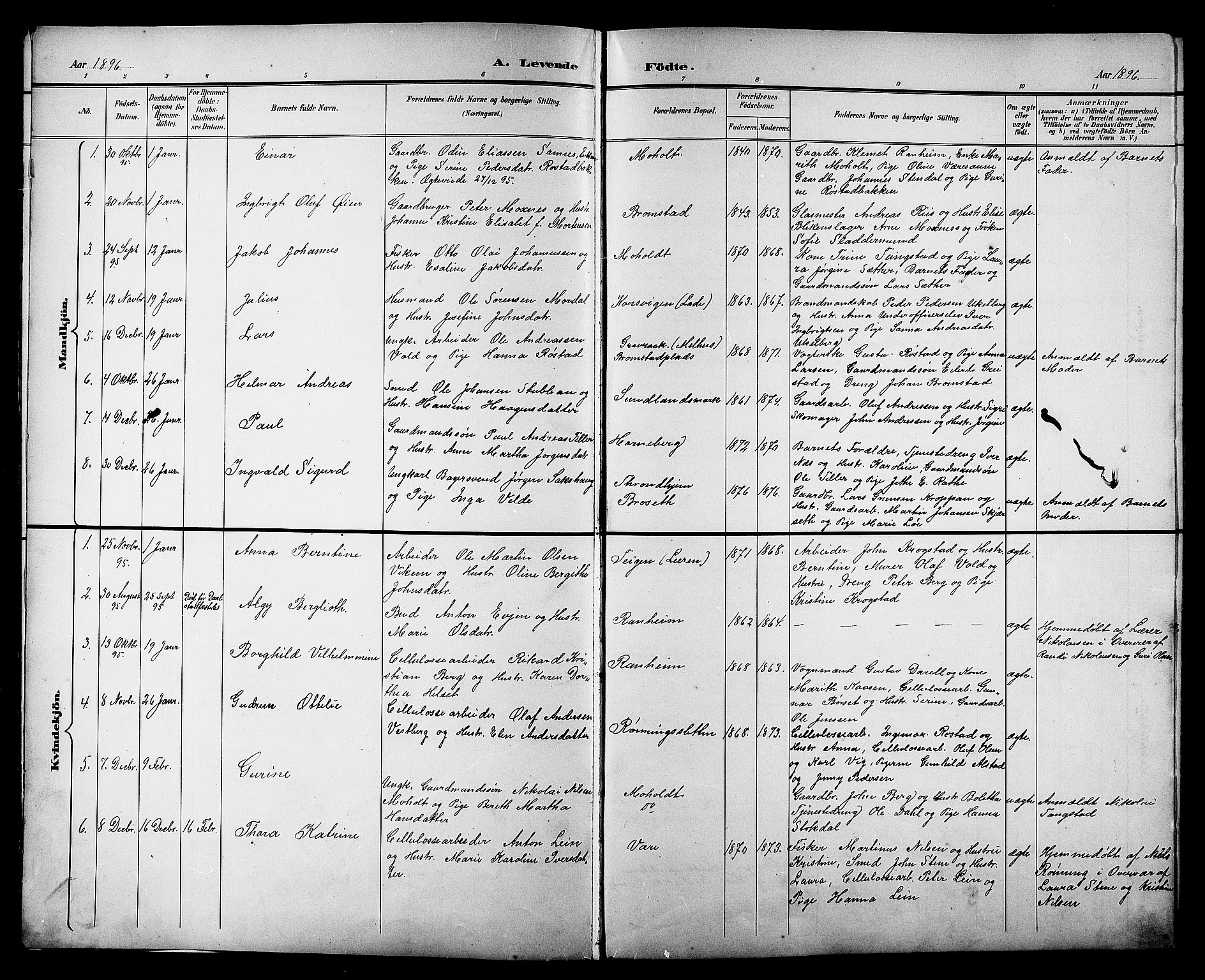 Ministerialprotokoller, klokkerbøker og fødselsregistre - Sør-Trøndelag, SAT/A-1456/606/L0313: Parish register (copy) no. 606C09, 1895-1910