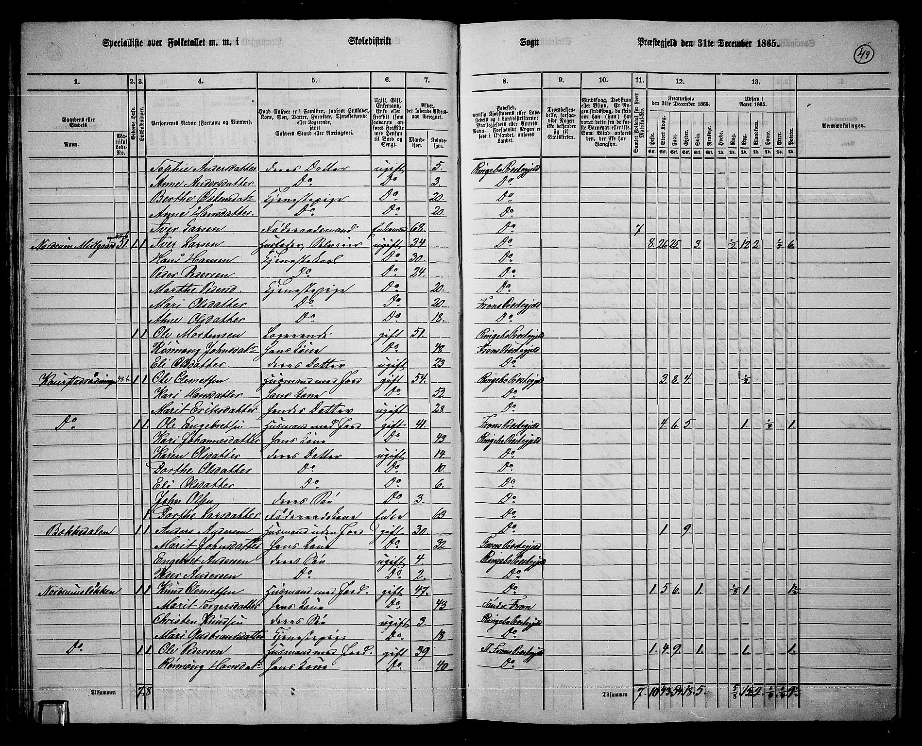 RA, 1865 census for Ringebu, 1865, p. 40