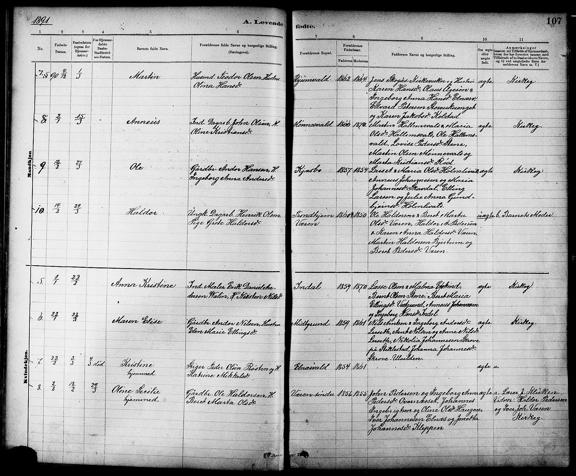 Ministerialprotokoller, klokkerbøker og fødselsregistre - Nord-Trøndelag, SAT/A-1458/724/L0267: Parish register (copy) no. 724C03, 1879-1898, p. 107