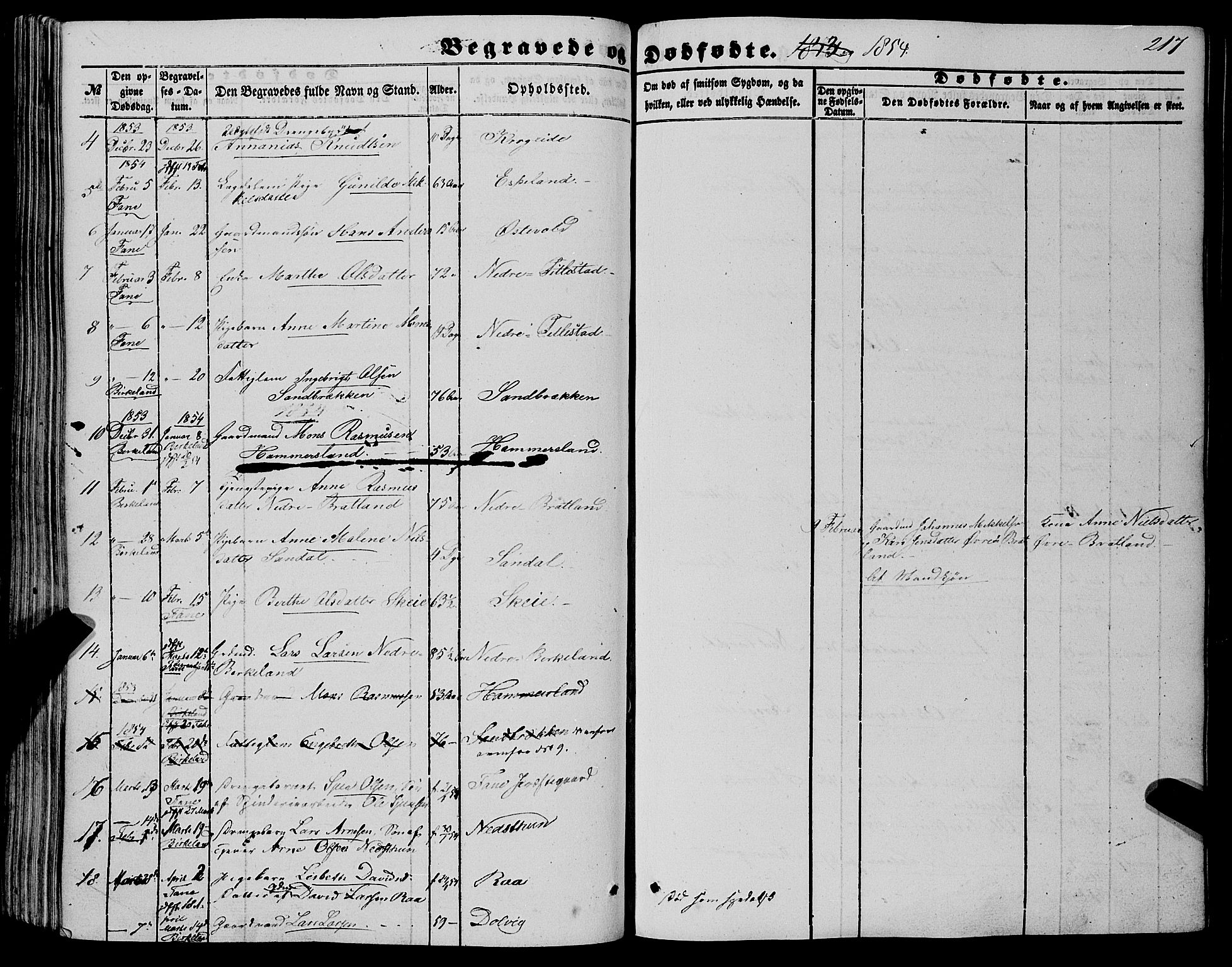 Fana Sokneprestembete, SAB/A-75101/H/Haa/Haaa/L0011: Parish register (official) no. A 11, 1851-1862, p. 217
