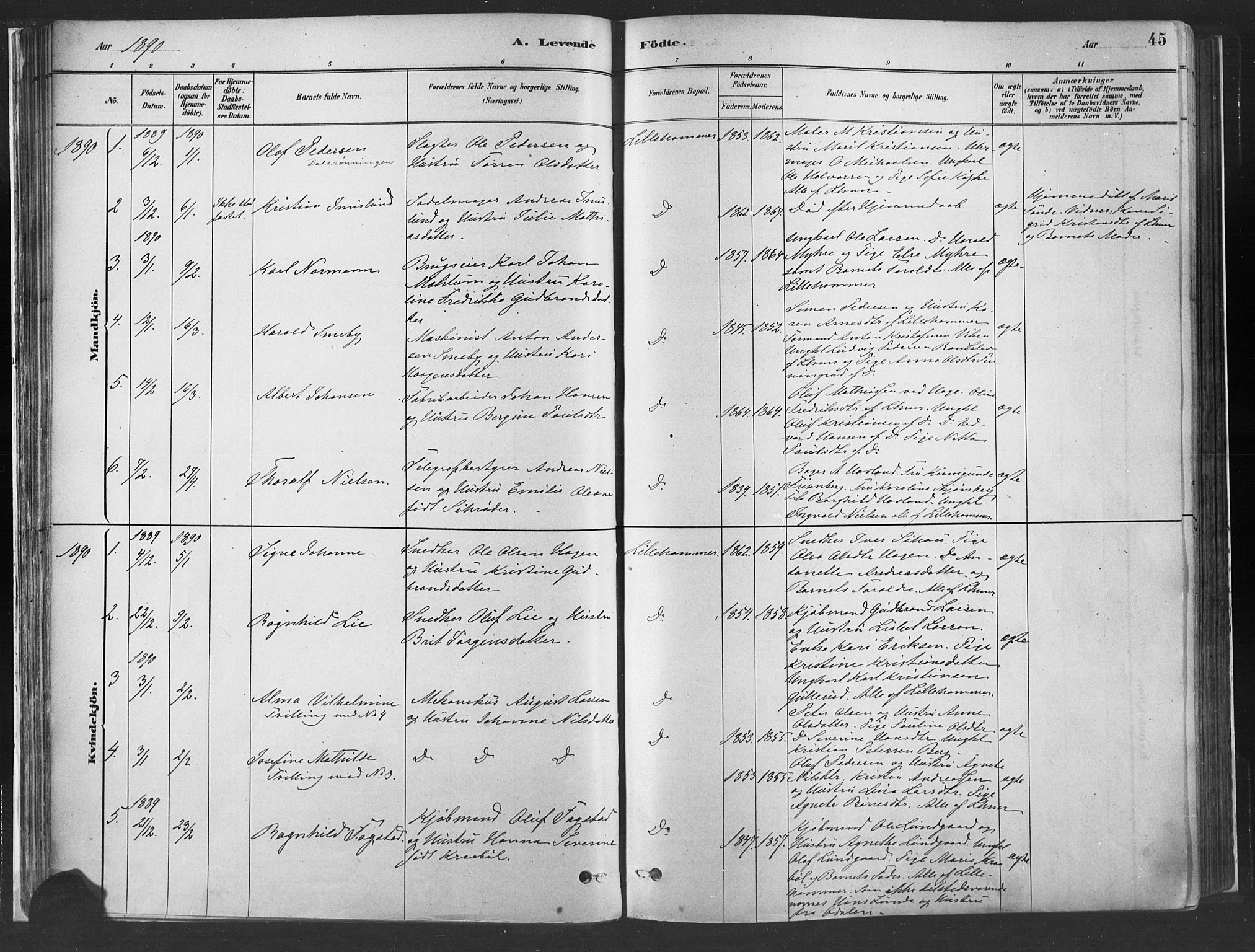 Fåberg prestekontor, SAH/PREST-086/H/Ha/Haa/L0010: Parish register (official) no. 10, 1879-1900, p. 45