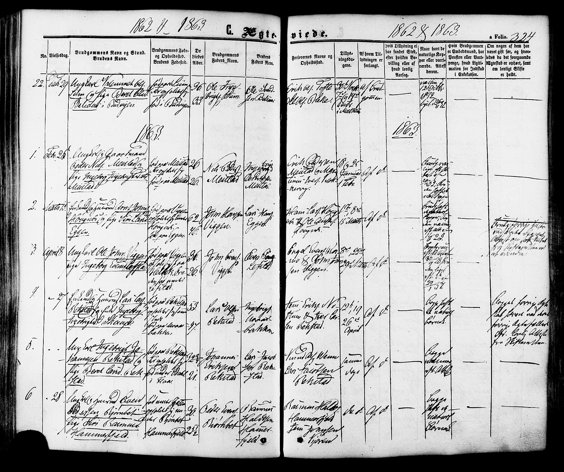 Ministerialprotokoller, klokkerbøker og fødselsregistre - Sør-Trøndelag, SAT/A-1456/665/L0772: Parish register (official) no. 665A07, 1856-1878, p. 324