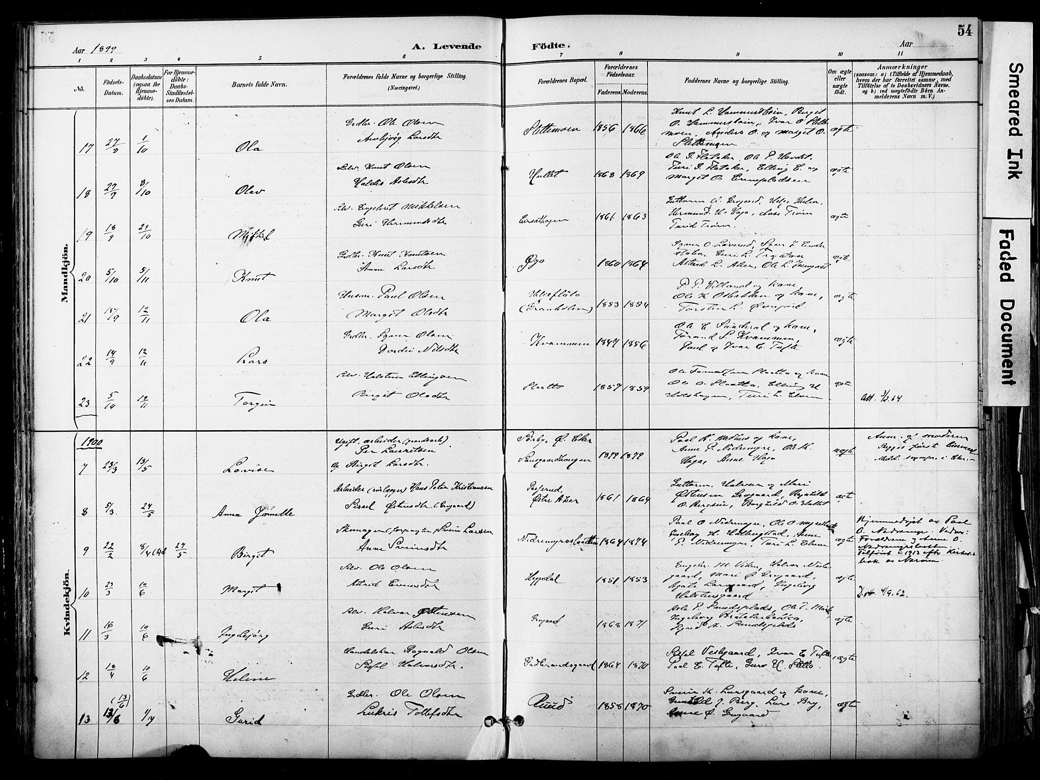 Hol kirkebøker, AV/SAKO-A-227/F/Fa/L0003: Parish register (official) no. I 3, 1887-1918, p. 54