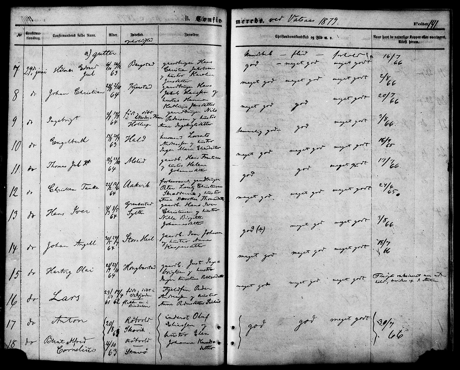 Ministerialprotokoller, klokkerbøker og fødselsregistre - Nordland, AV/SAT-A-1459/810/L0148: Parish register (official) no. 810A09 /1, 1874-1884, p. 141