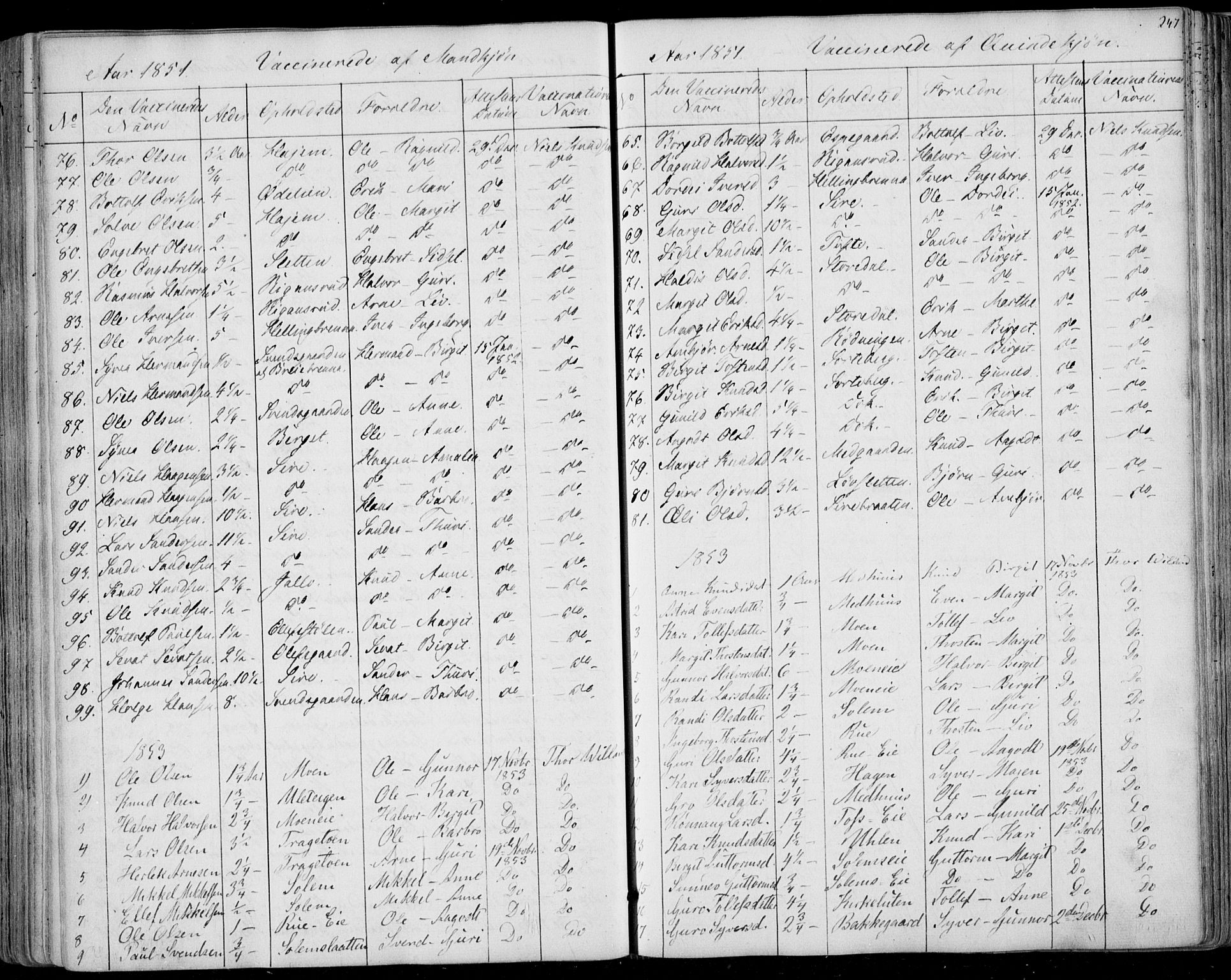 Ål kirkebøker, SAKO/A-249/F/Fa/L0006: Parish register (official) no. I 6, 1849-1864, p. 247
