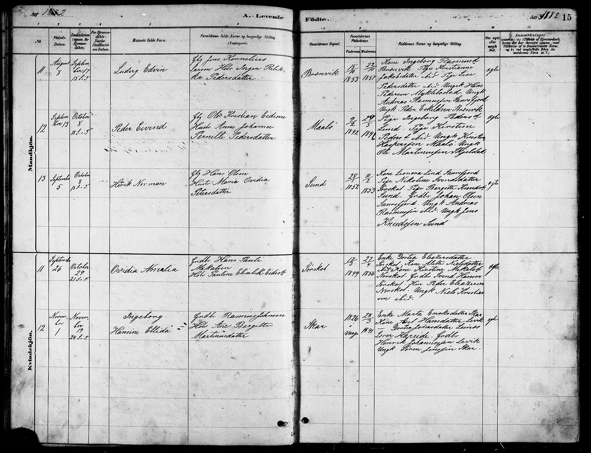 Ministerialprotokoller, klokkerbøker og fødselsregistre - Nordland, AV/SAT-A-1459/857/L0828: Parish register (copy) no. 857C03, 1879-1908, p. 15