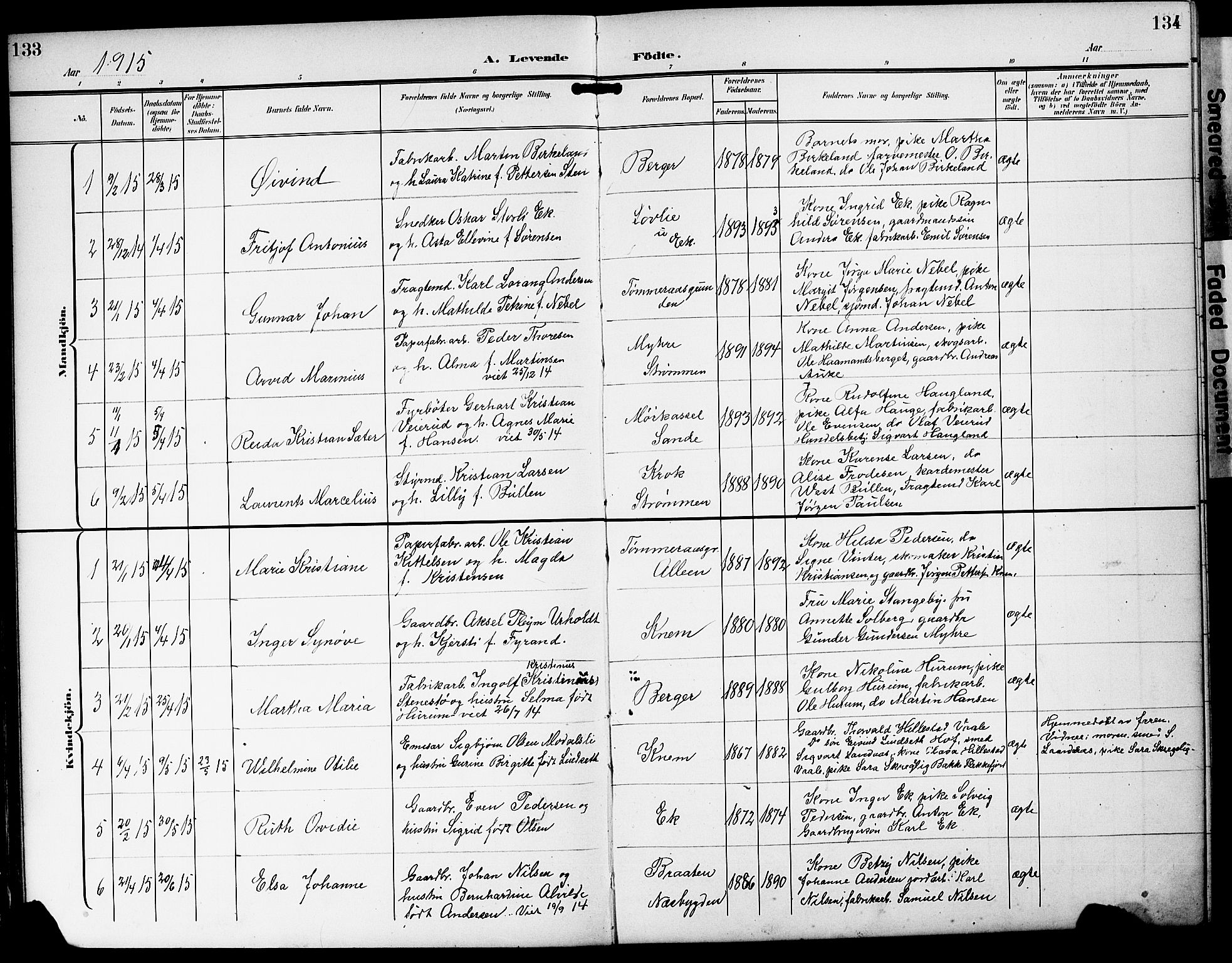 Strømm kirkebøker, AV/SAKO-A-322/G/Ga/L0004: Parish register (copy) no. I 4, 1897-1927, p. 133-134