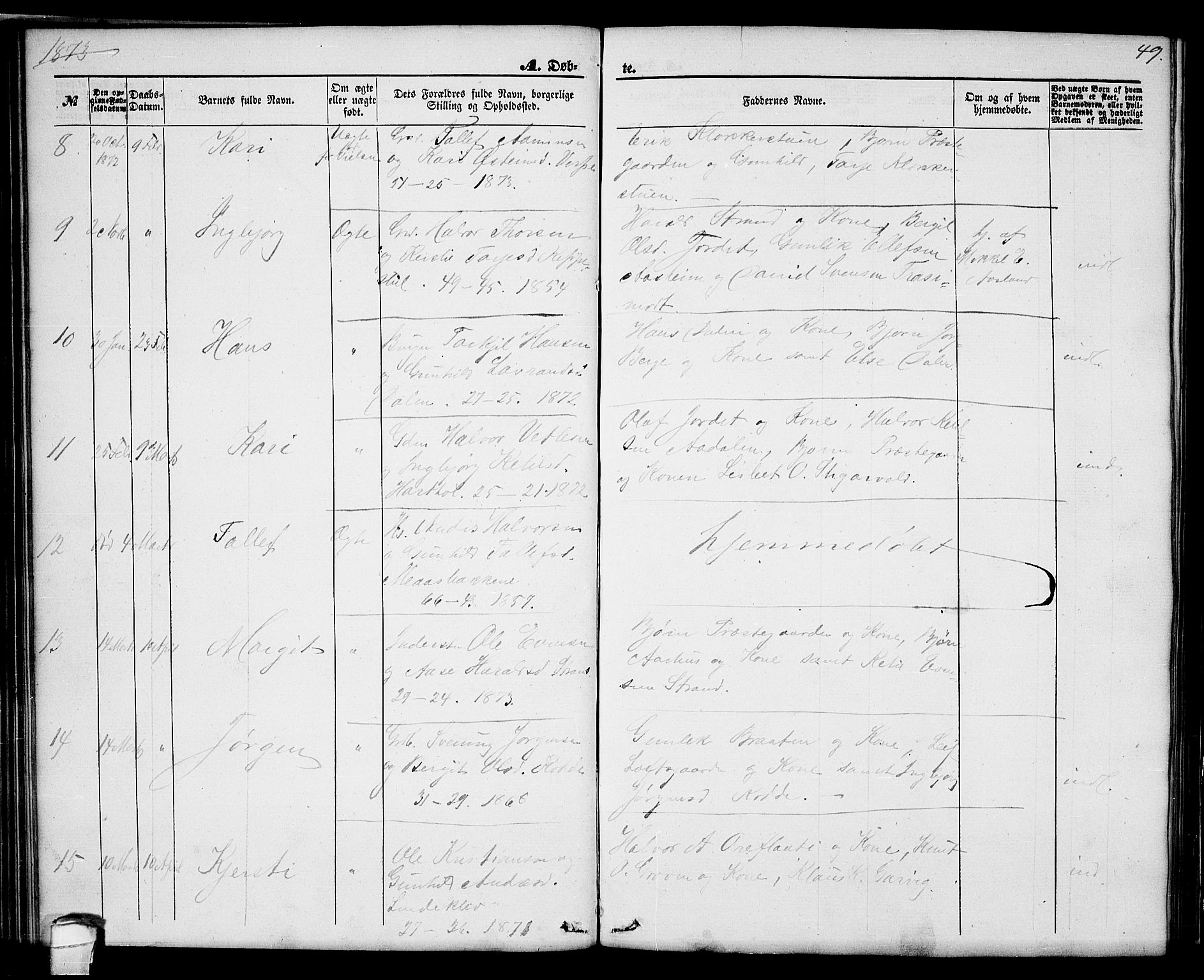 Seljord kirkebøker, SAKO/A-20/G/Ga/L0003: Parish register (copy) no. I 3, 1866-1873, p. 49