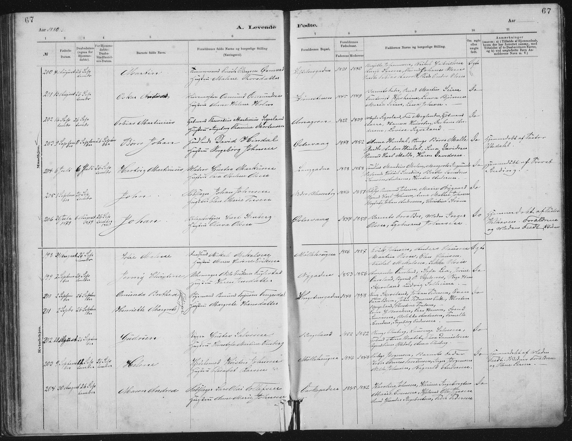 St. Petri sokneprestkontor, SAST/A-101813/001/30/30BA/L0015: Parish register (official) no. A 15, 1879-1888, p. 67