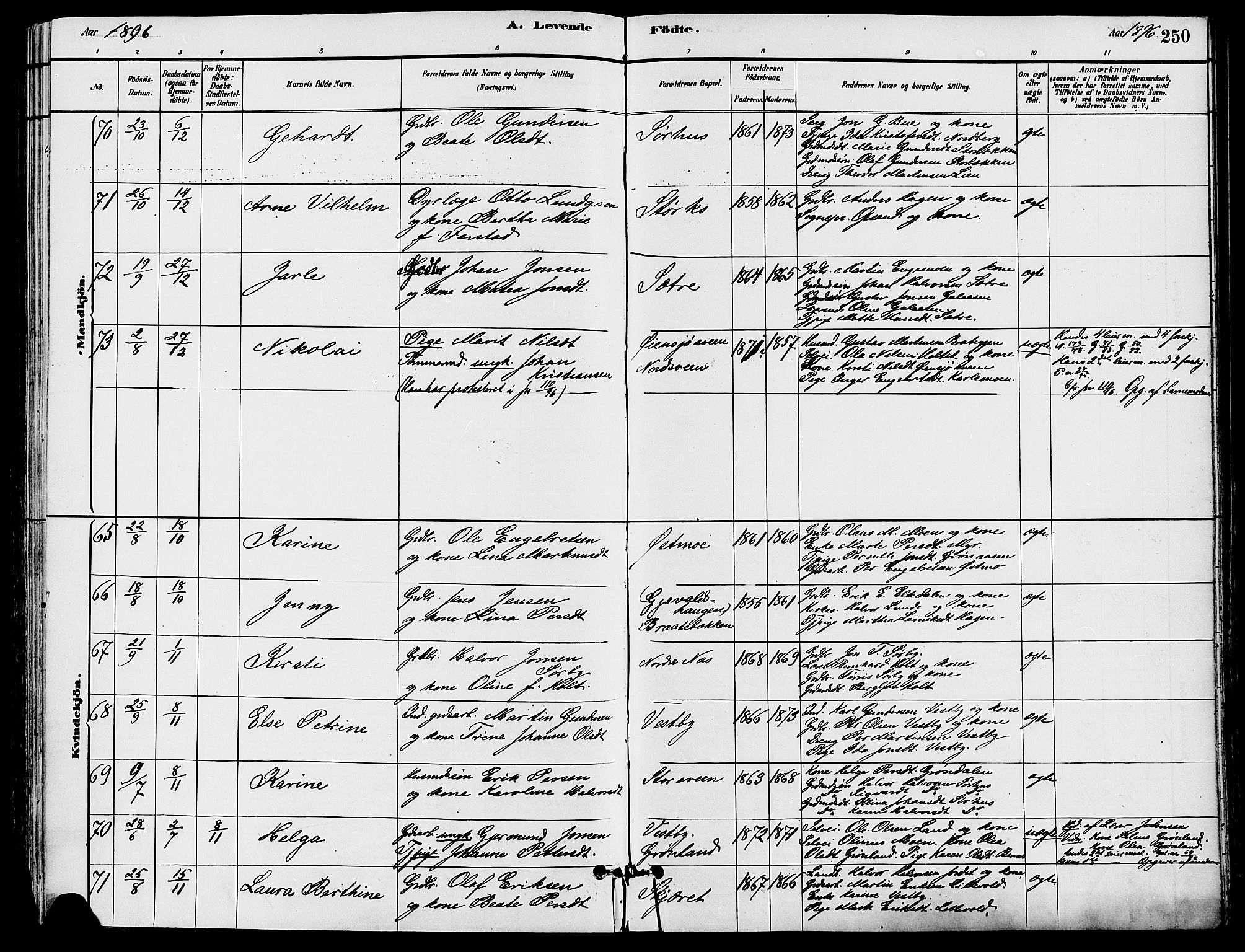 Trysil prestekontor, SAH/PREST-046/H/Ha/Haa/L0008: Parish register (official) no. 8, 1881-1897, p. 250
