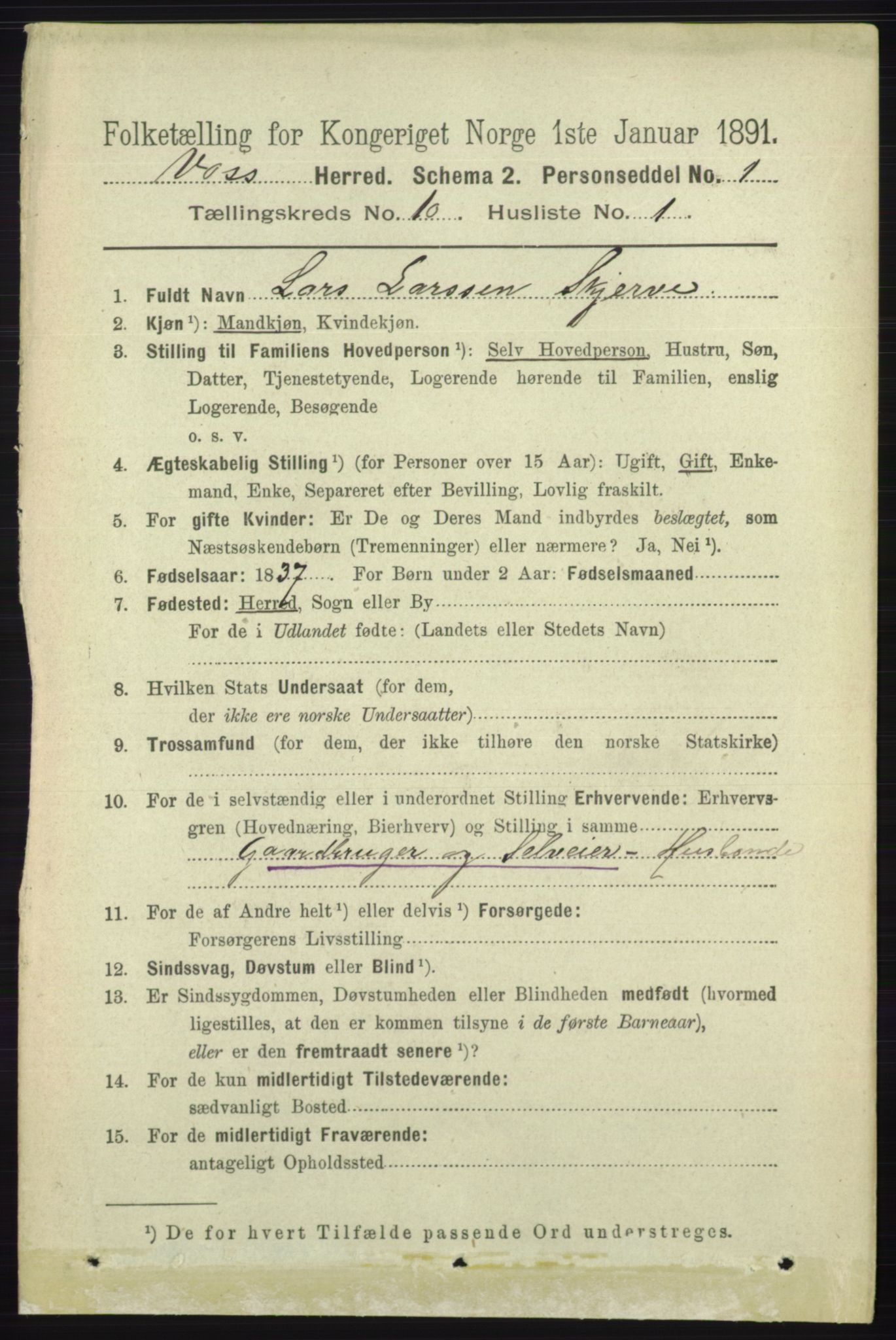 RA, 1891 census for 1235 Voss, 1891, p. 5210