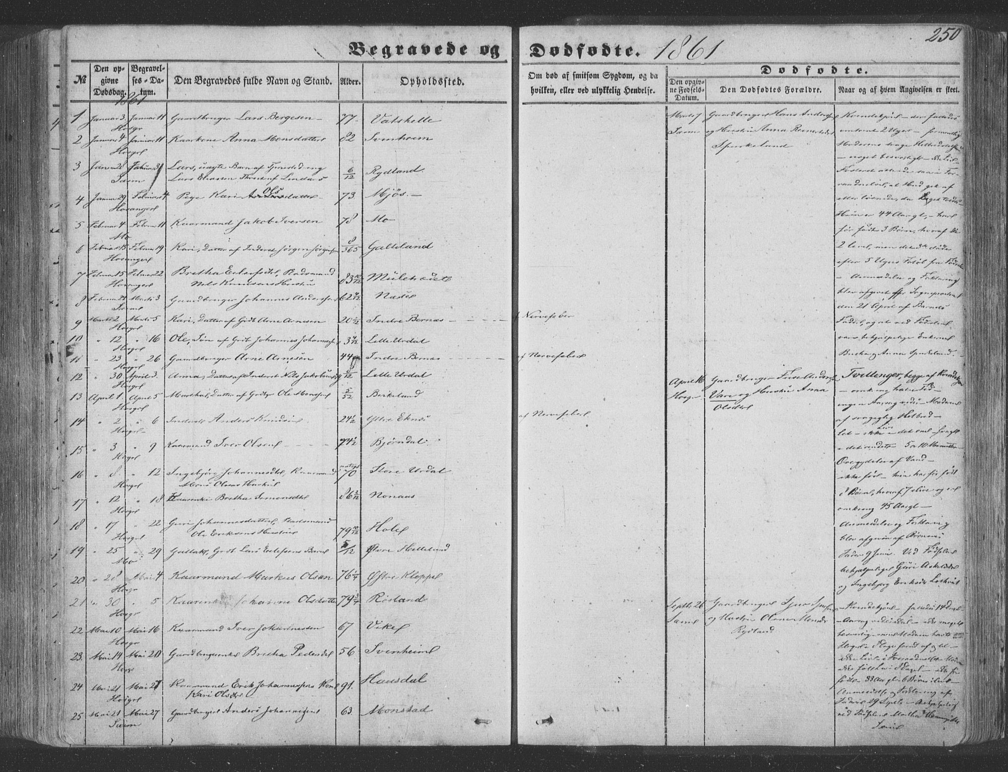 Hosanger sokneprestembete, SAB/A-75801/H/Haa: Parish register (official) no. A 8, 1849-1863, p. 250