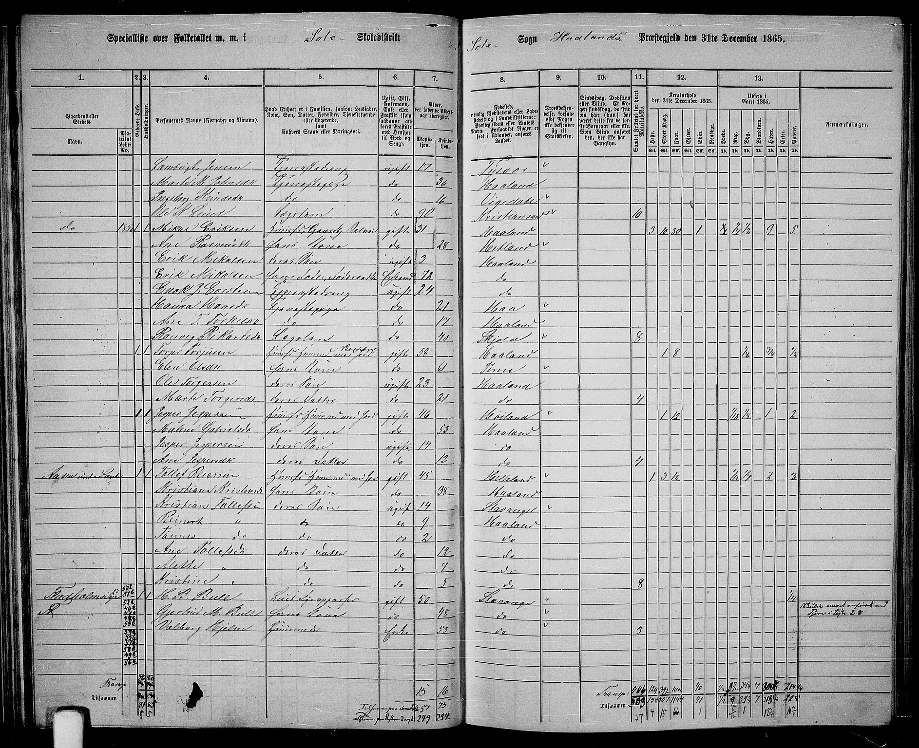 RA, 1865 census for Håland, 1865, p. 52