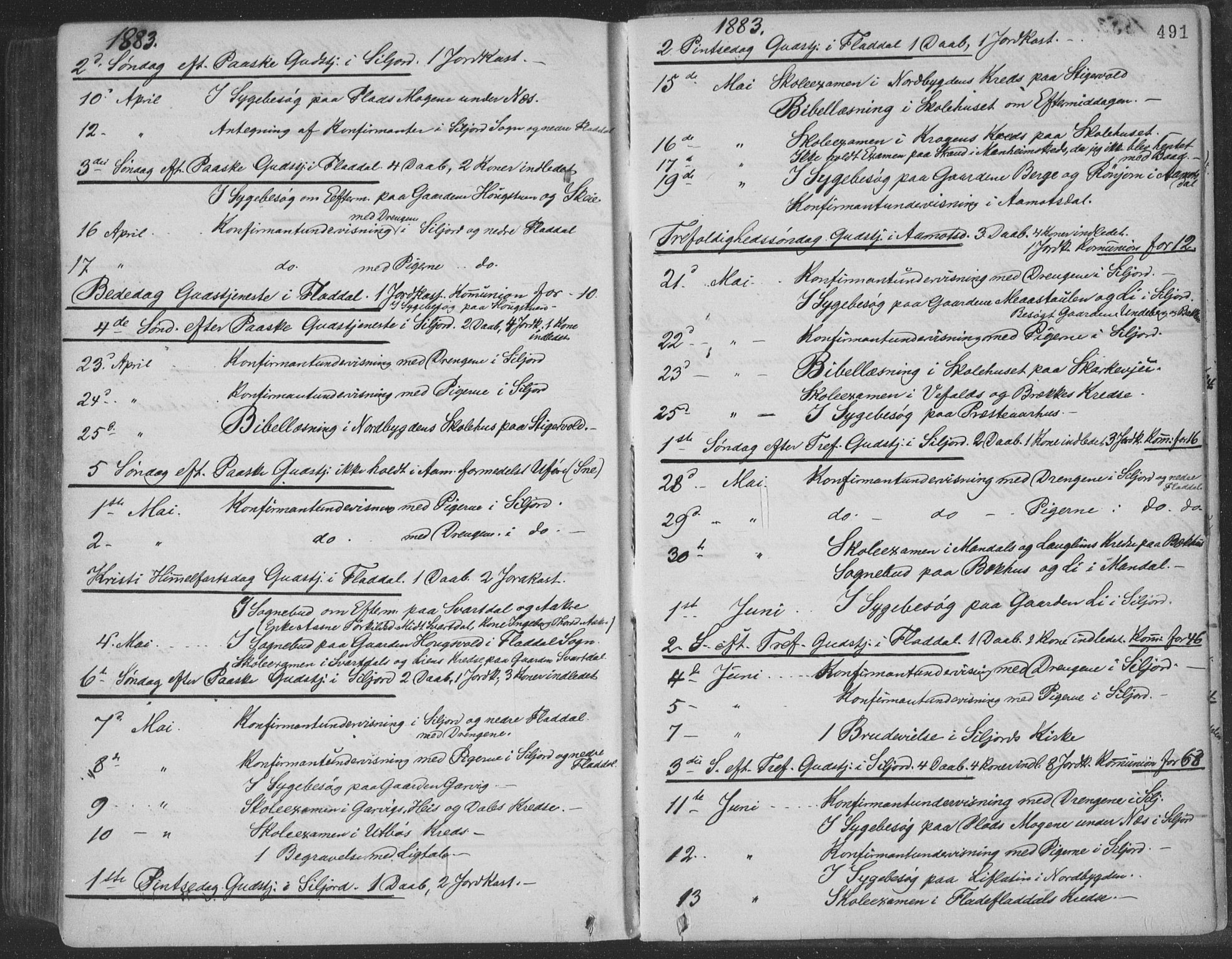 Seljord kirkebøker, AV/SAKO-A-20/F/Fa/L0014: Parish register (official) no. I 14, 1877-1886, p. 491