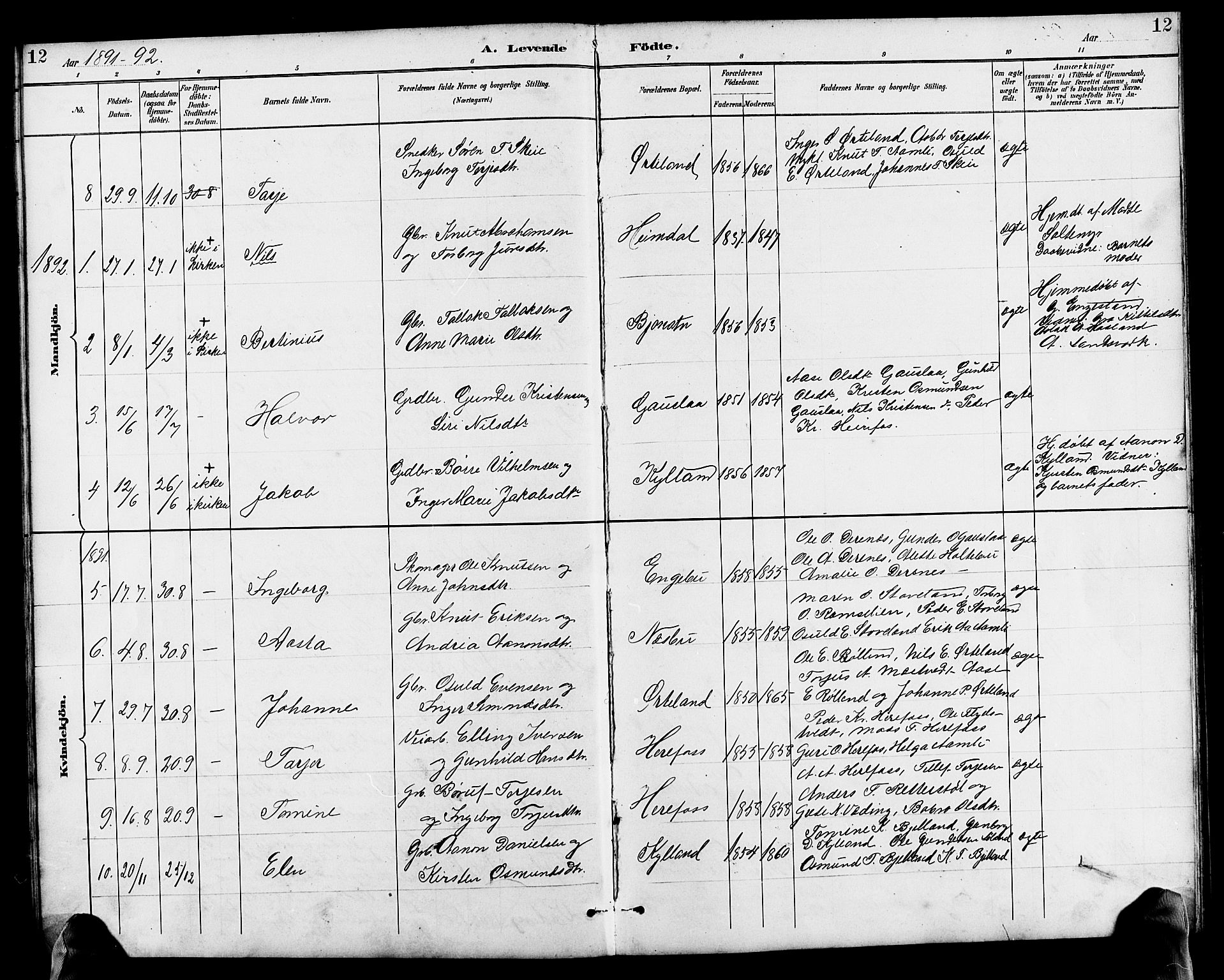 Herefoss sokneprestkontor, SAK/1111-0019/F/Fb/Fba/L0003: Parish register (copy) no. B 3, 1887-1925, p. 12