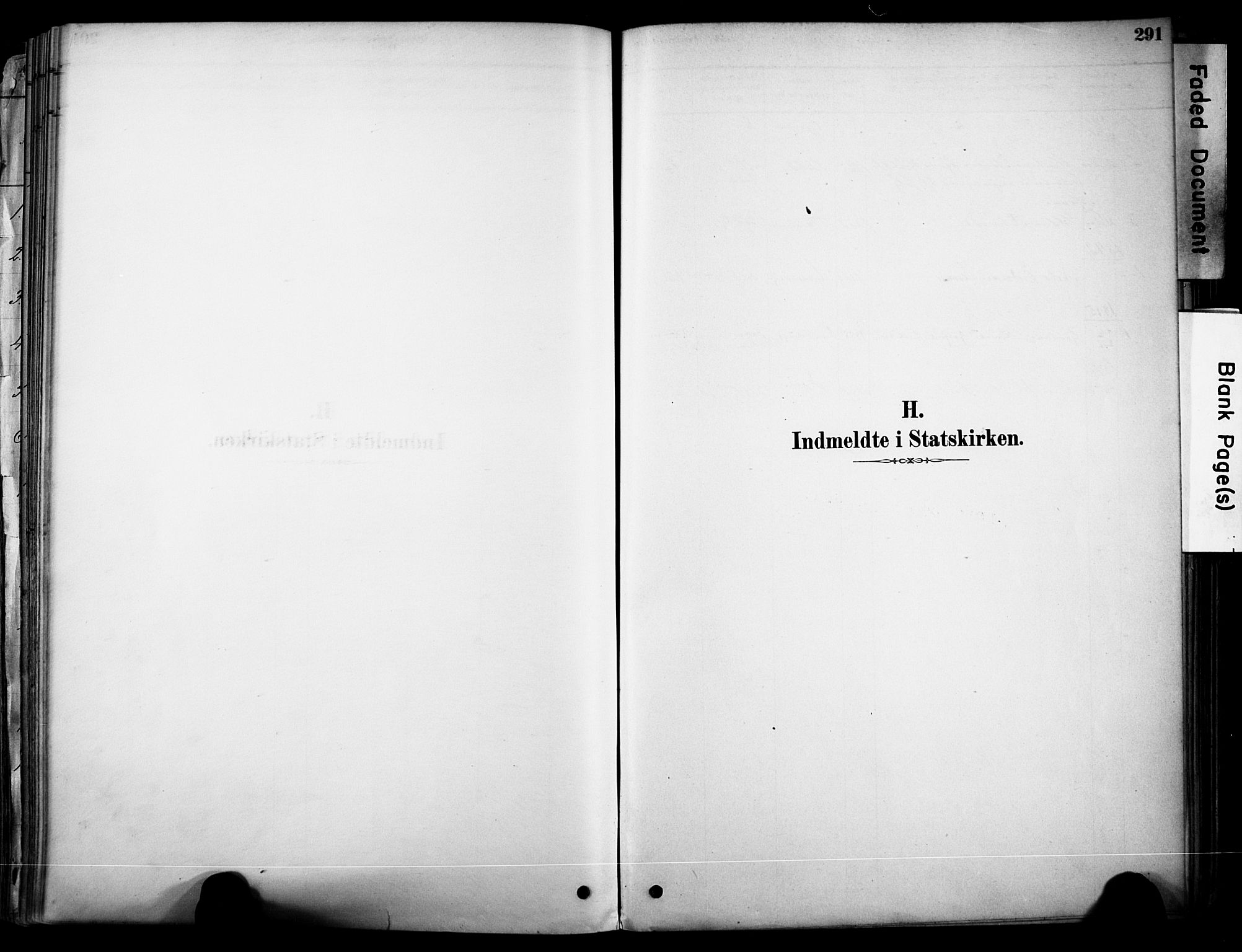 Brunlanes kirkebøker, SAKO/A-342/F/Fc/L0001: Parish register (official) no. III 1, 1878-1899, p. 291