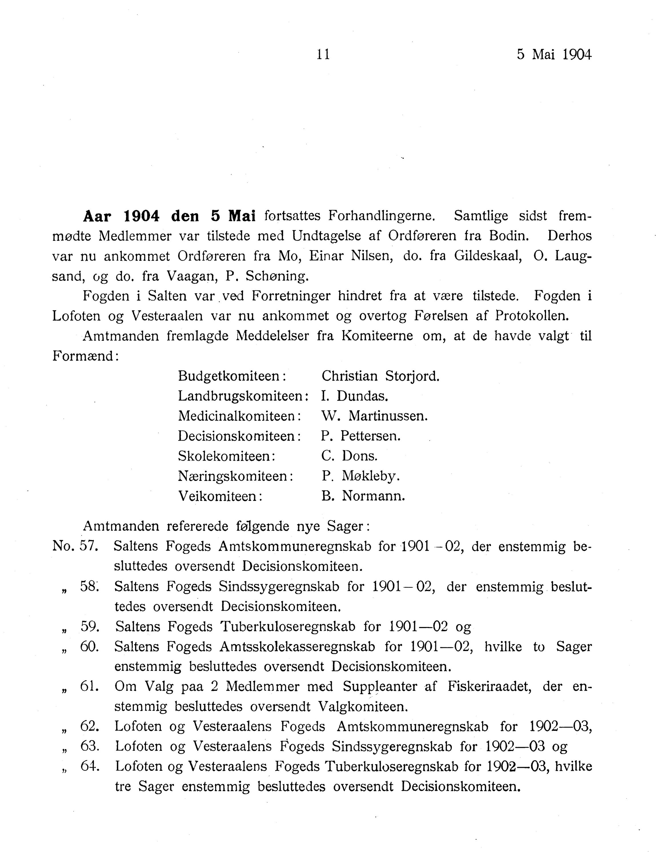 Nordland Fylkeskommune. Fylkestinget, AIN/NFK-17/176/A/Ac/L0027: Fylkestingsforhandlinger 1904, 1904, p. 11