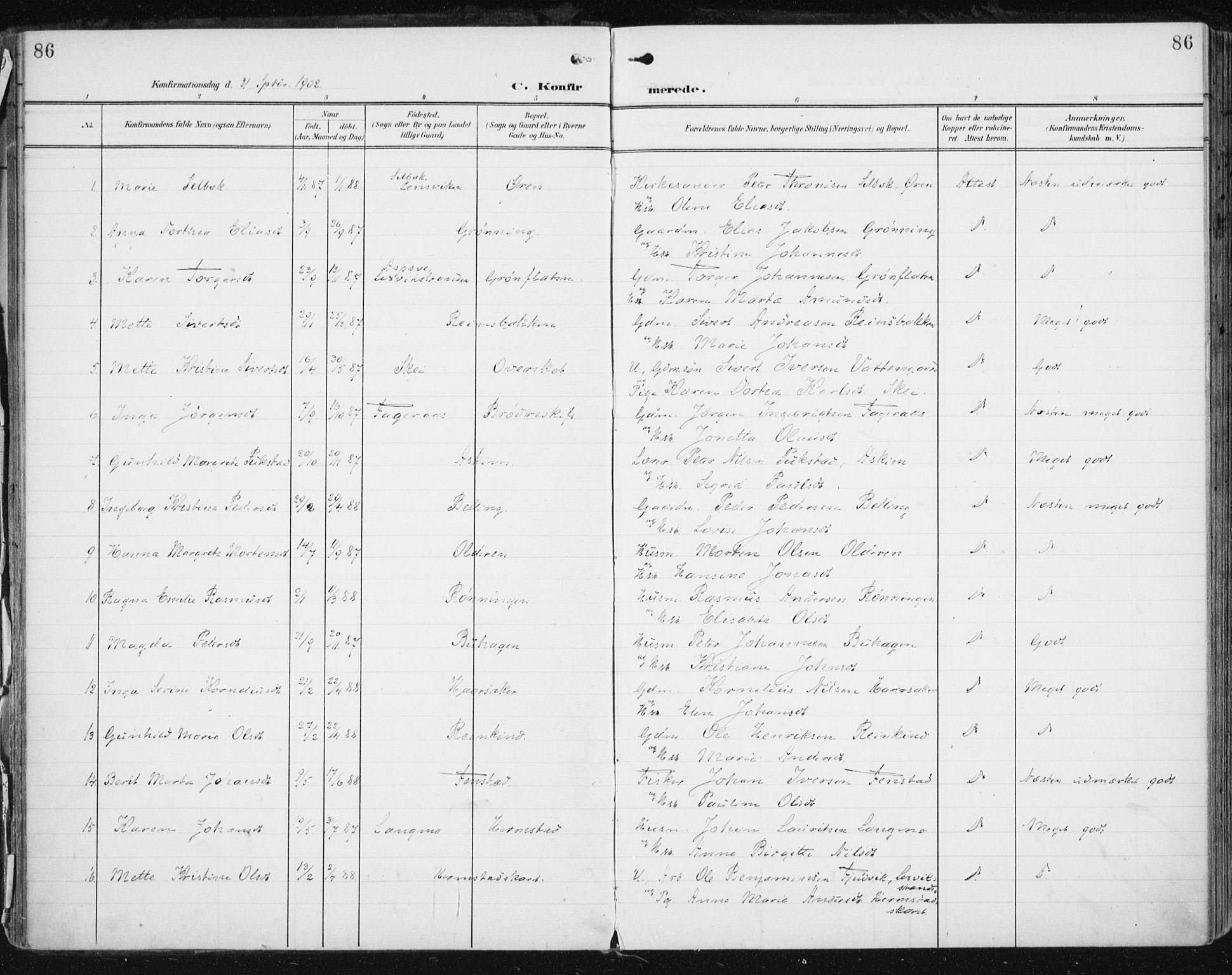 Ministerialprotokoller, klokkerbøker og fødselsregistre - Sør-Trøndelag, AV/SAT-A-1456/646/L0616: Parish register (official) no. 646A14, 1900-1918, p. 86