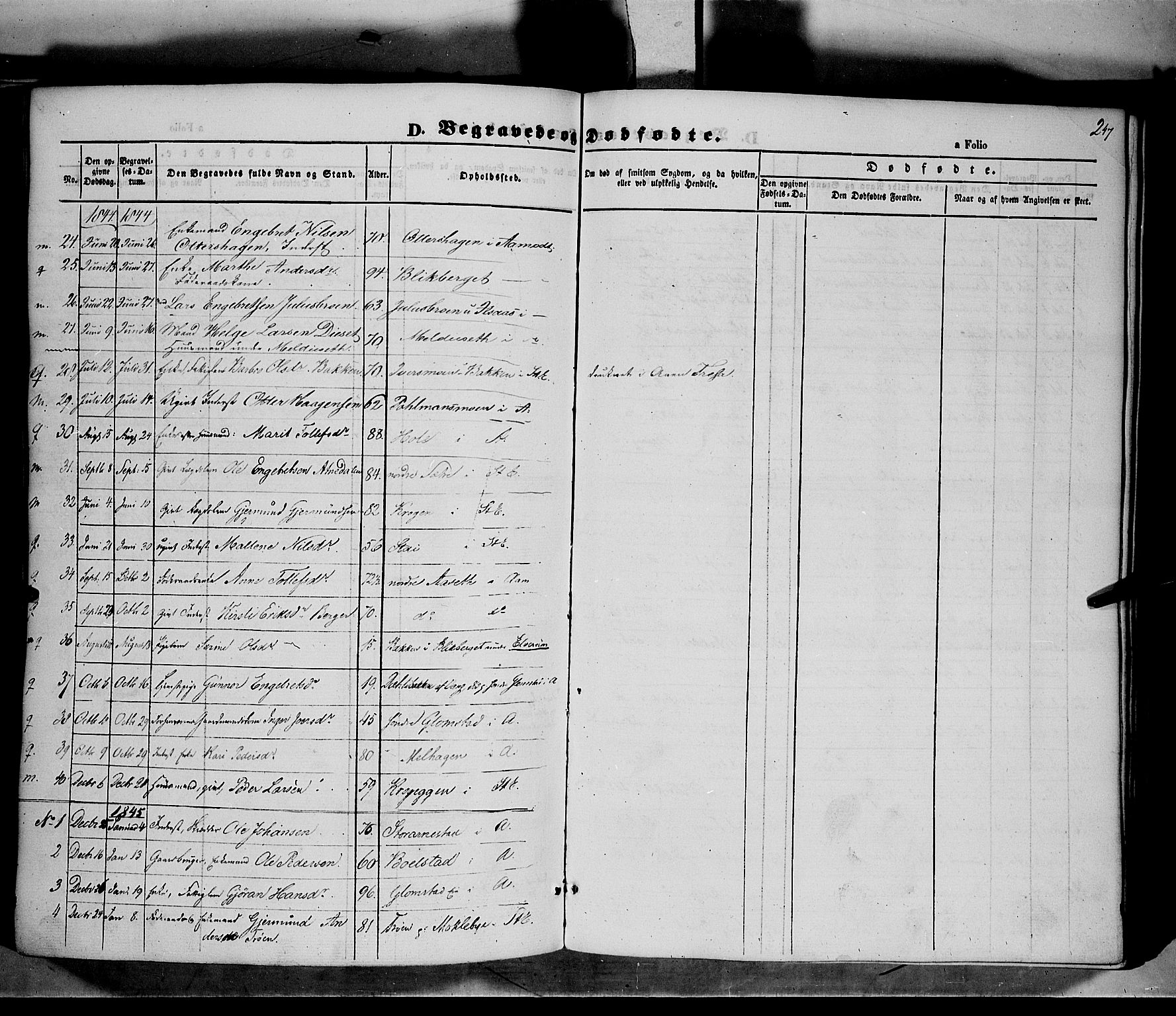 Åmot prestekontor, Hedmark, SAH/PREST-056/H/Ha/Haa/L0006: Parish register (official) no. 6, 1842-1861, p. 247