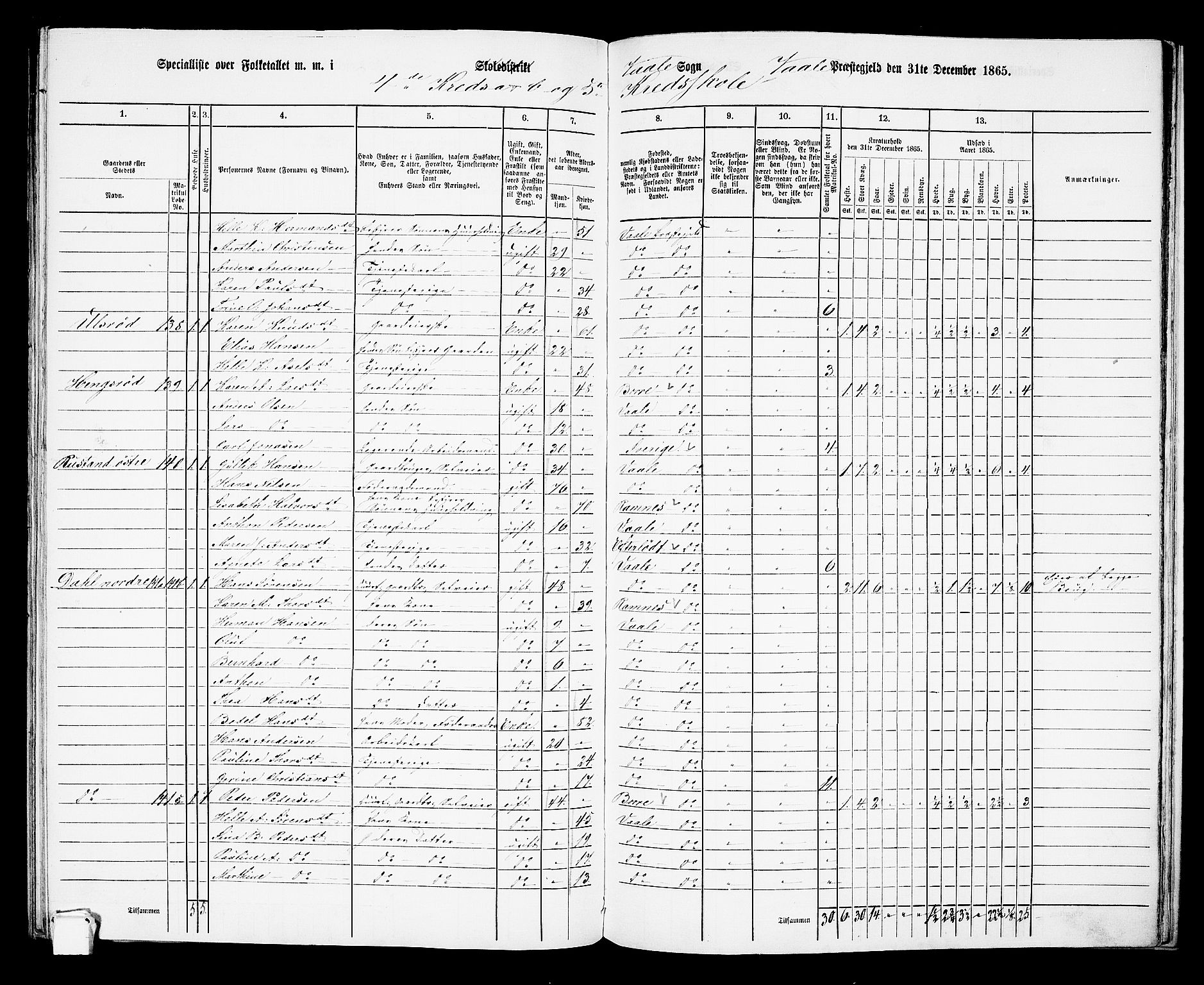 RA, 1865 census for Våle, 1865, p. 50