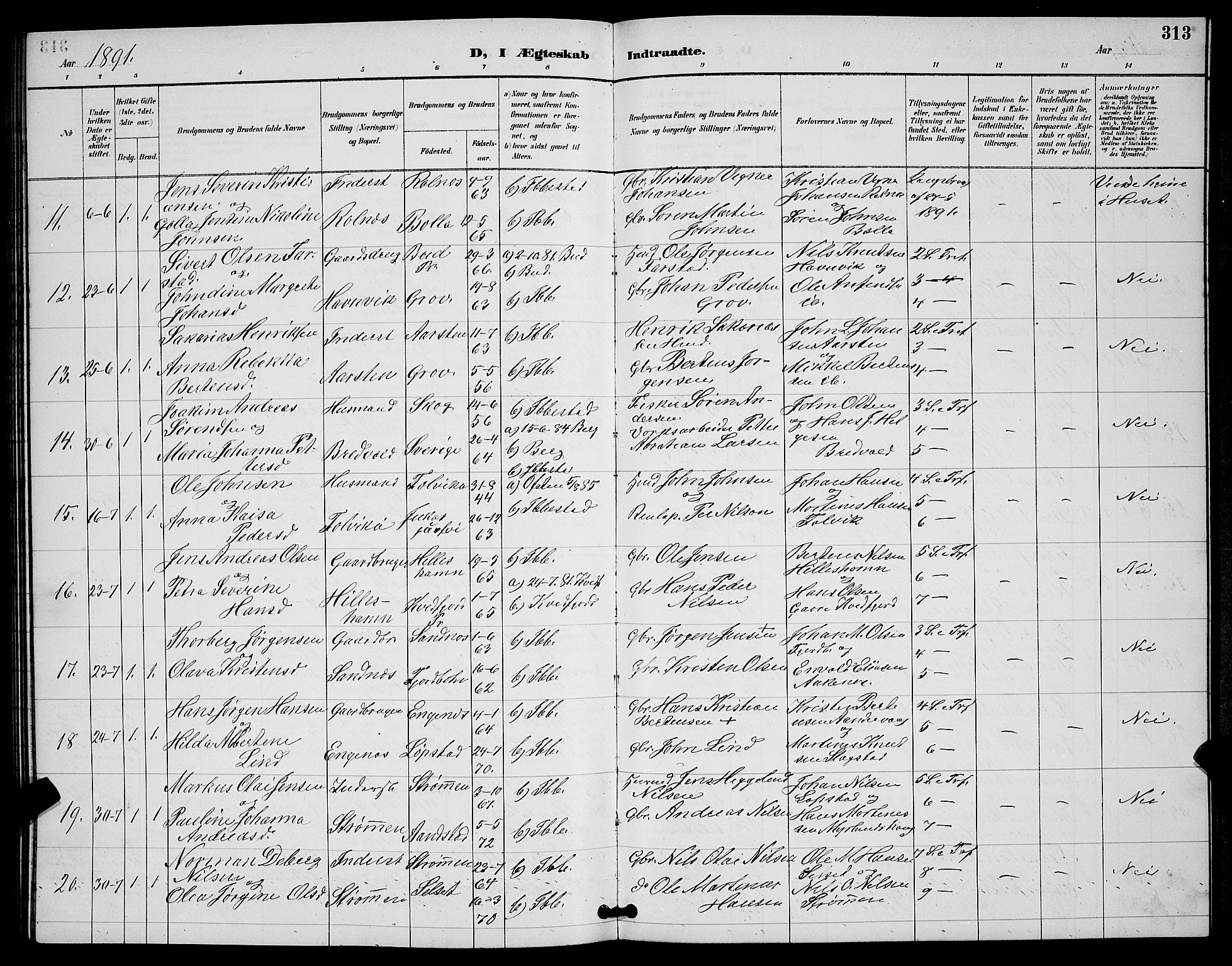Ibestad sokneprestembete, SATØ/S-0077/H/Ha/Hab/L0008klokker: Parish register (copy) no. 8, 1890-1903, p. 313