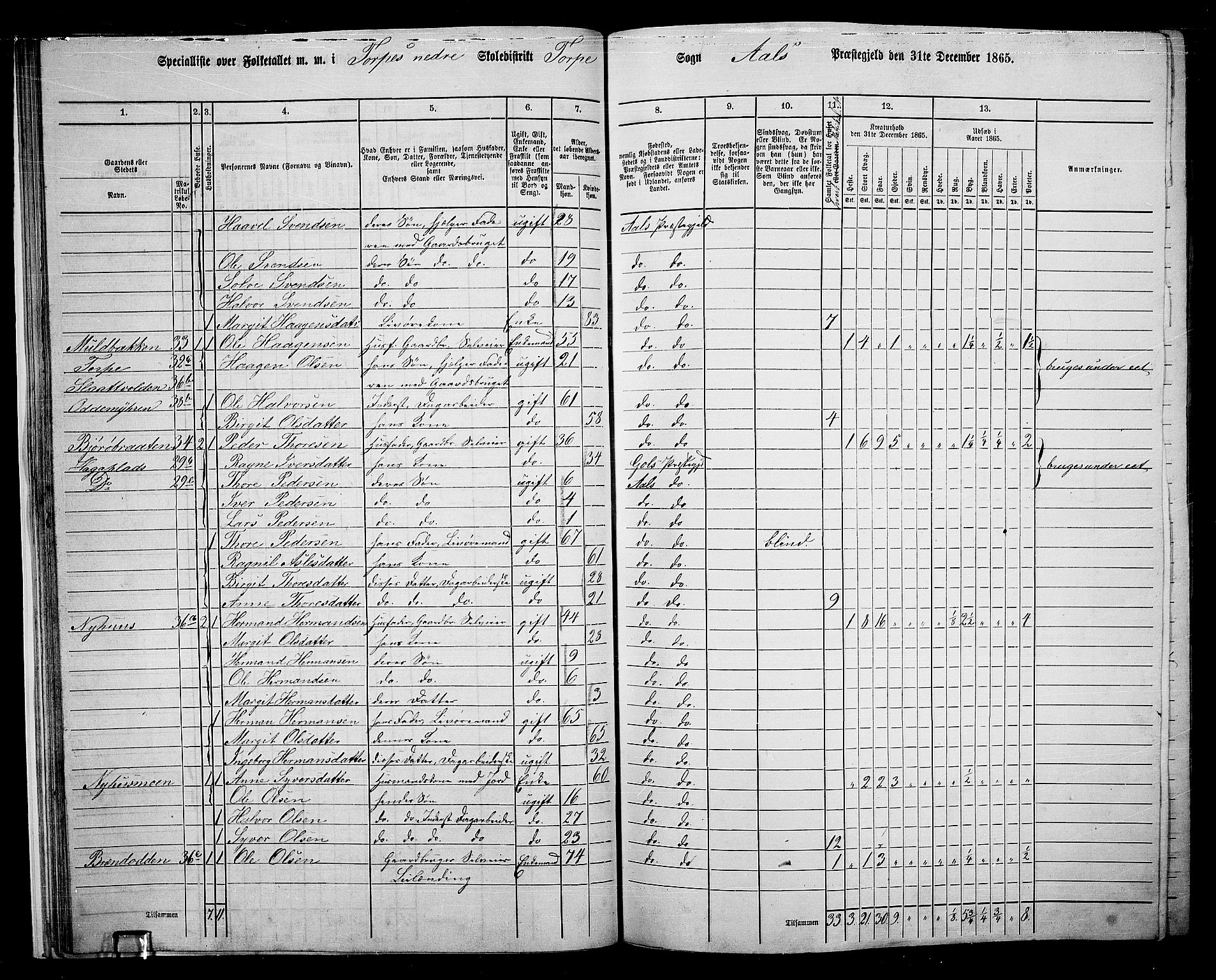 RA, 1865 census for Ål, 1865, p. 33