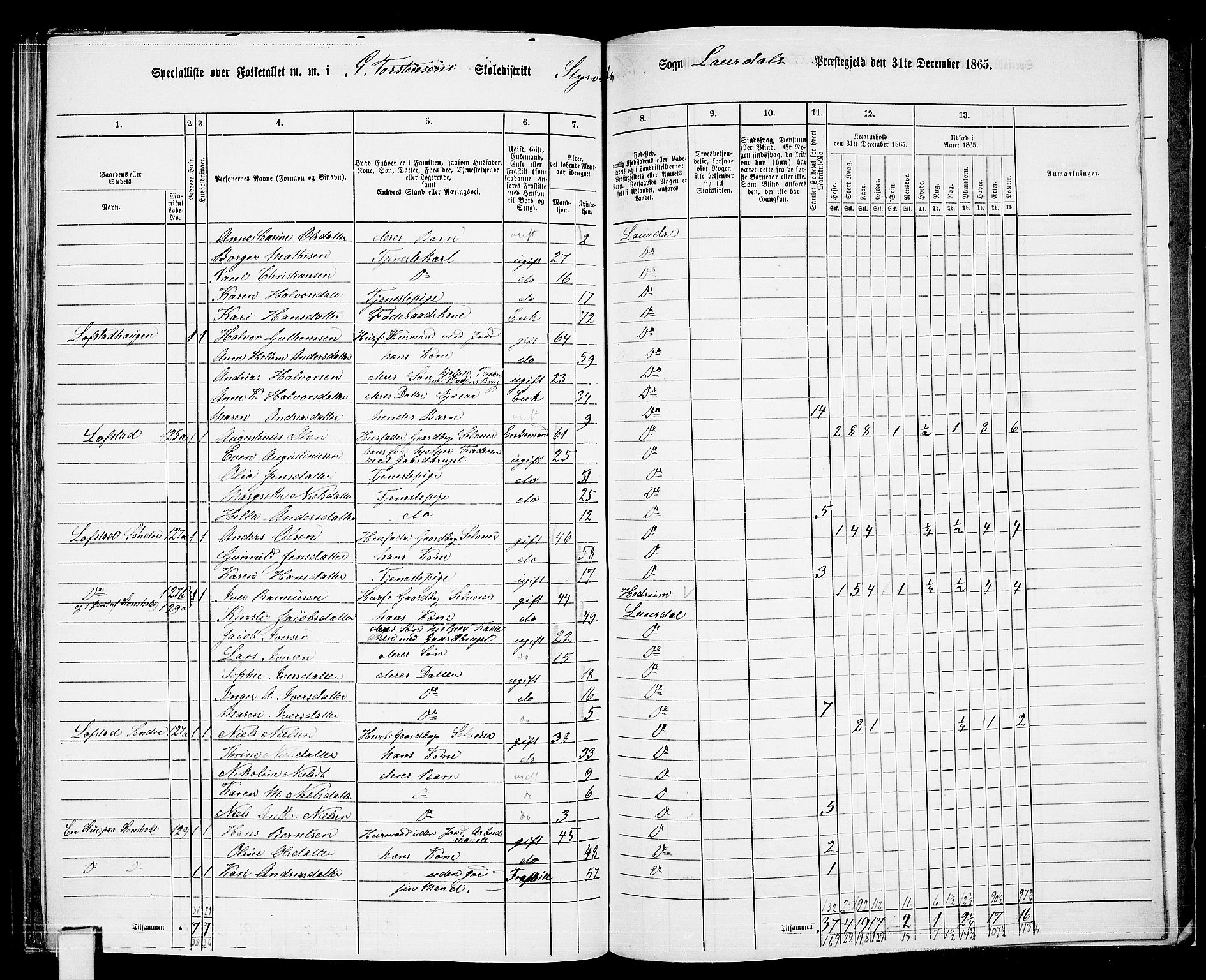 RA, 1865 census for Lardal, 1865, p. 97