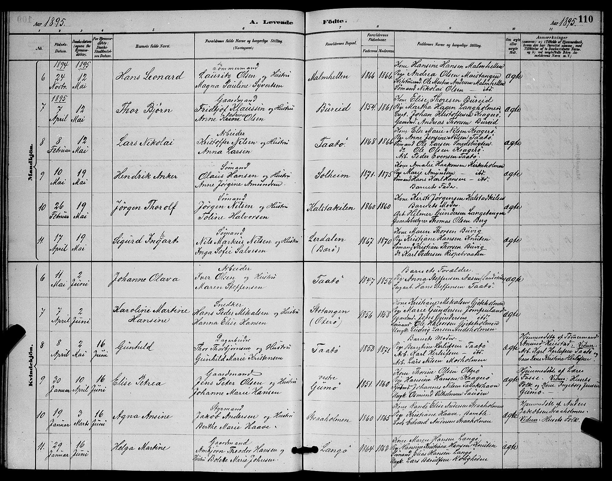 Skåtøy kirkebøker, SAKO/A-304/G/Ga/L0003: Parish register (copy) no. I 3, 1884-1898, p. 110