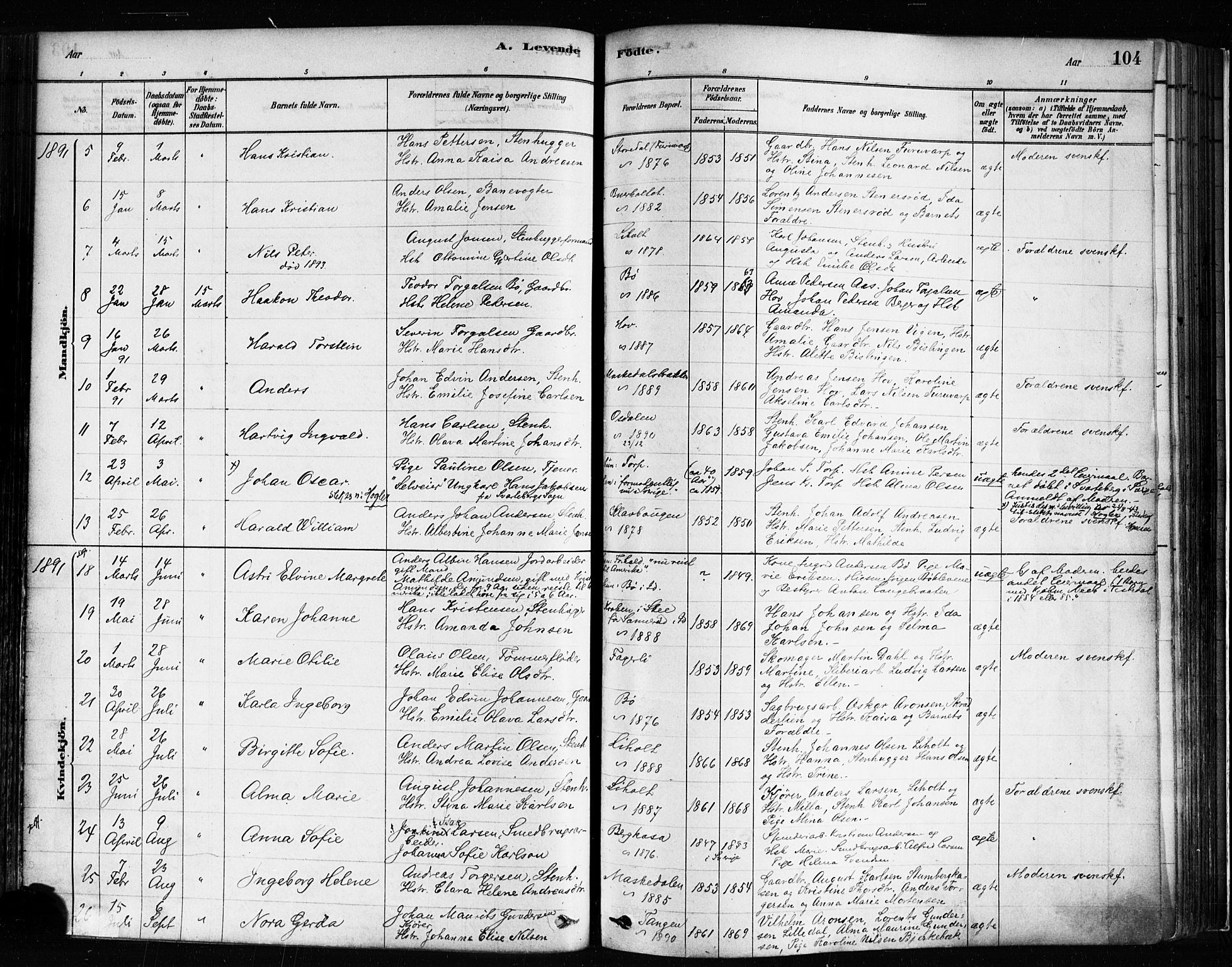 Idd prestekontor Kirkebøker, AV/SAO-A-10911/F/Fc/L0006a: Parish register (official) no. III 6A, 1878-1903, p. 104