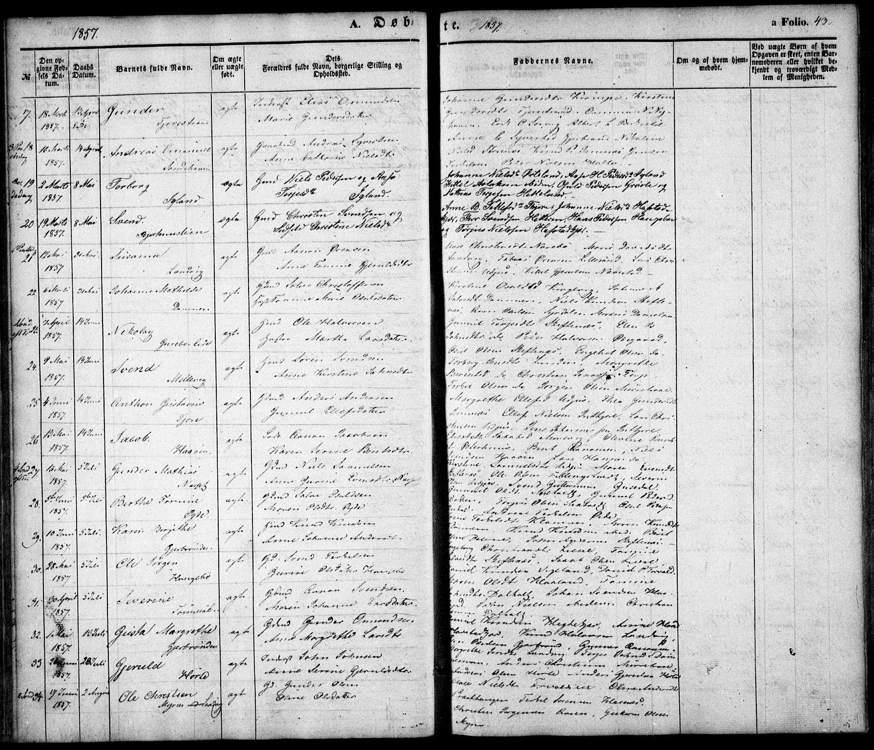 Hommedal sokneprestkontor, AV/SAK-1111-0023/F/Fa/Fab/L0004: Parish register (official) no. A 4, 1848-1860, p. 43