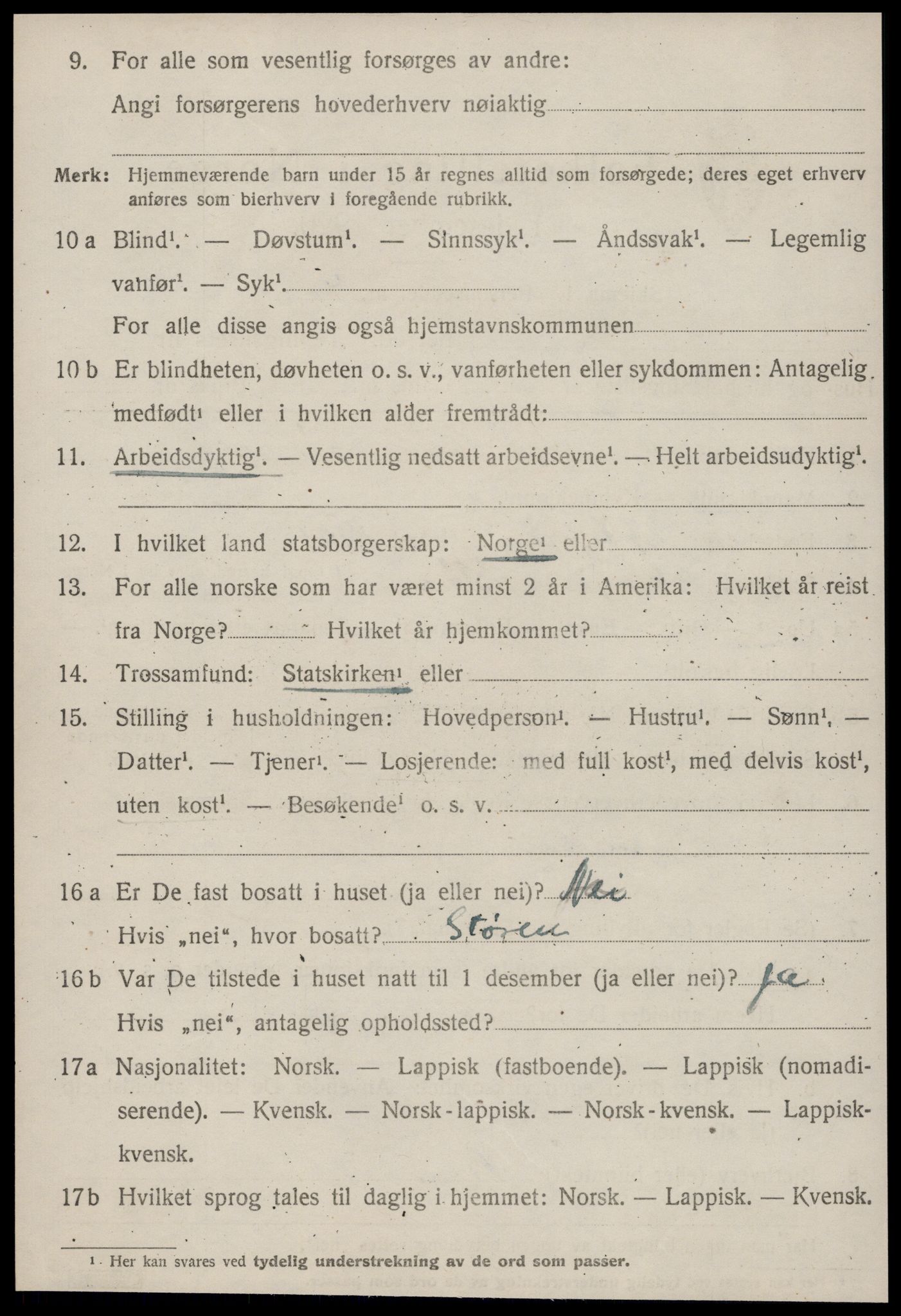 SAT, 1920 census for Horg, 1920, p. 2311