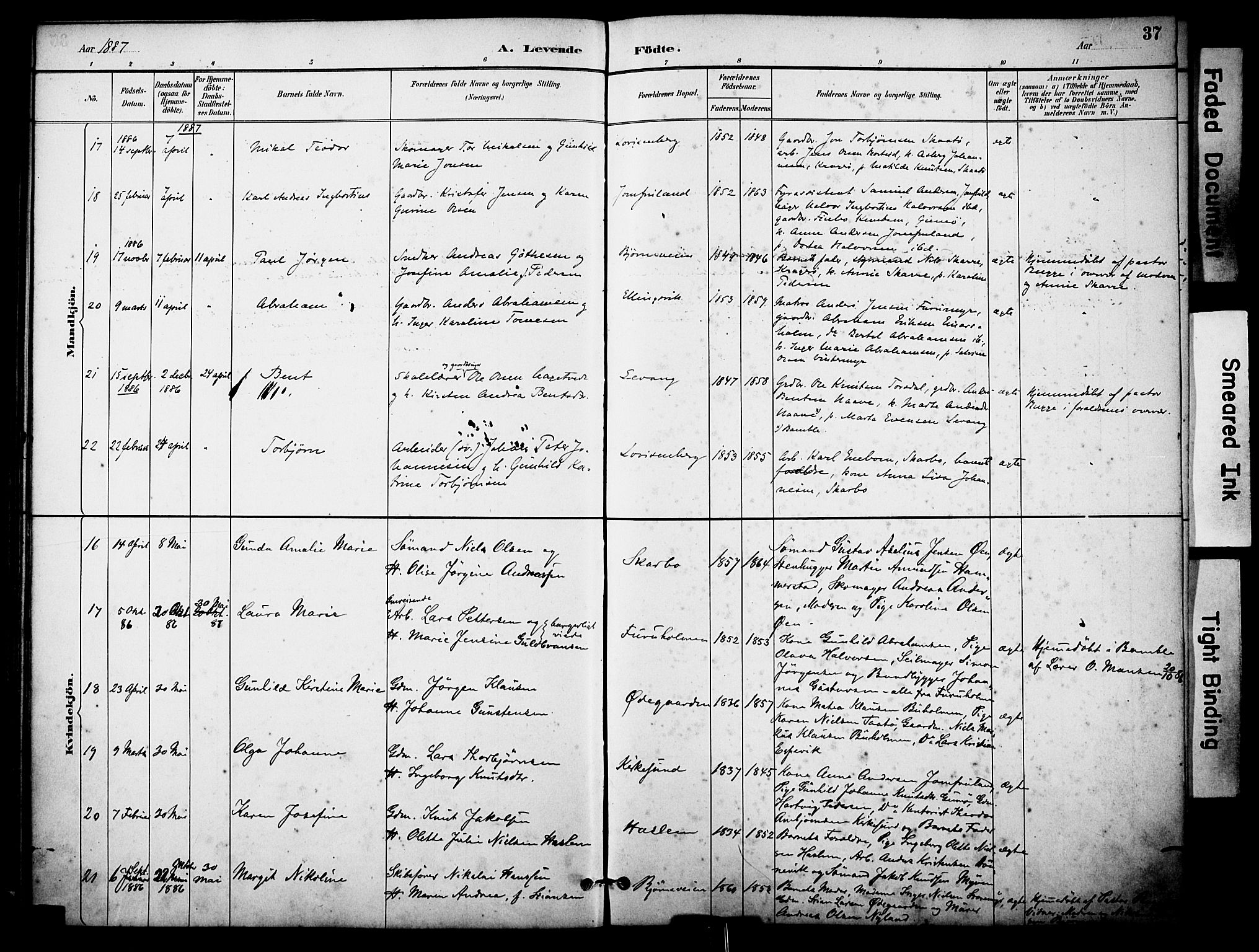 Skåtøy kirkebøker, SAKO/A-304/F/Fa/L0002: Parish register (official) no. I 2, 1884-1899, p. 37