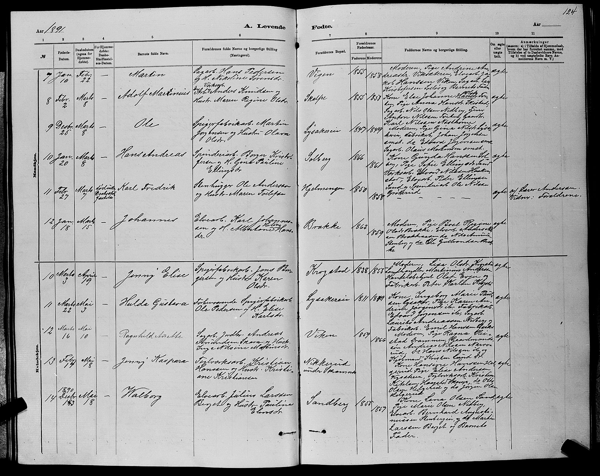 Nedre Eiker kirkebøker, AV/SAKO-A-612/G/Ga/L0002: Parish register (copy) no. 2, 1880-1896, p. 124