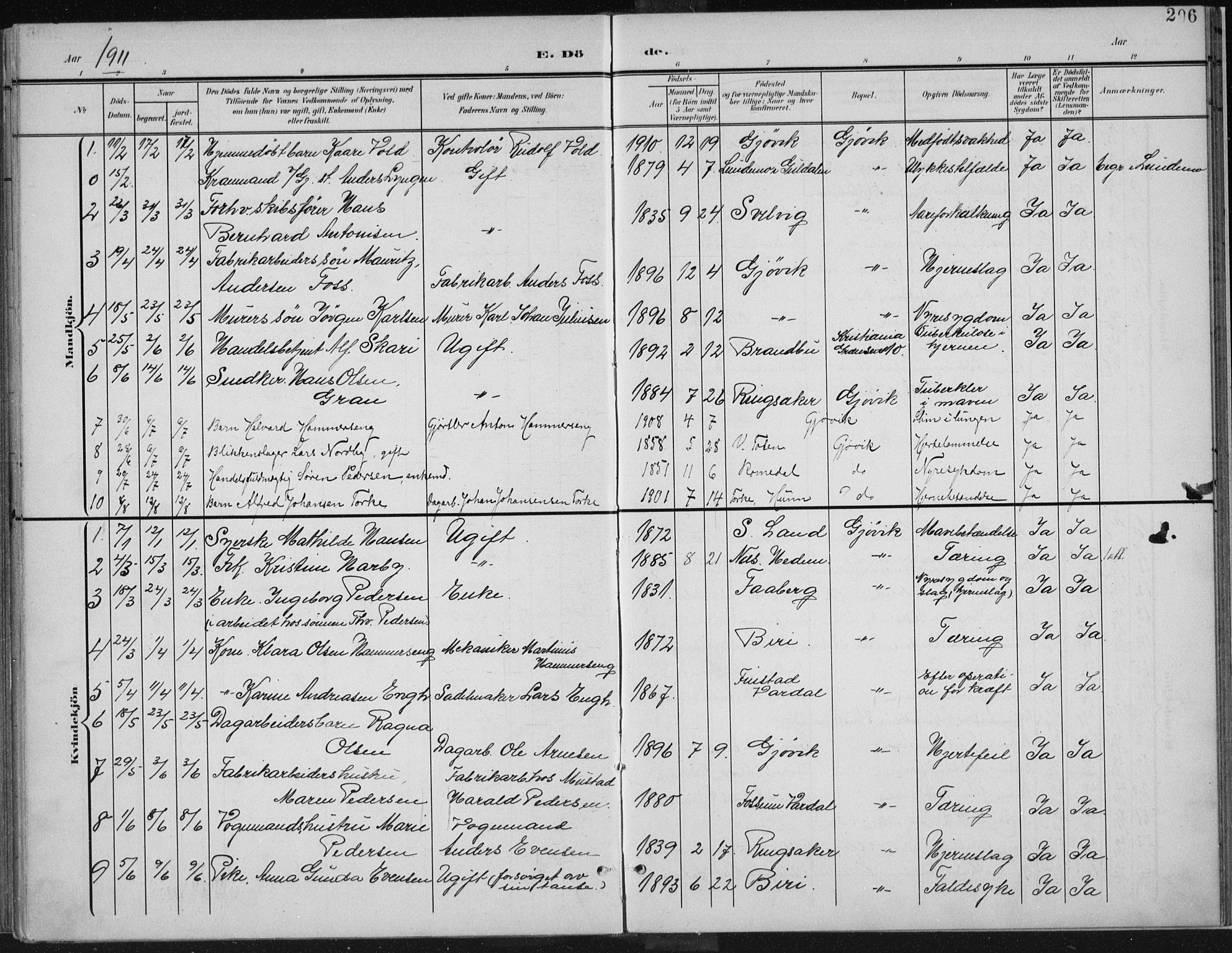 Vardal prestekontor, AV/SAH-PREST-100/H/Ha/Haa/L0013: Parish register (official) no. 13, 1901-1911, p. 206