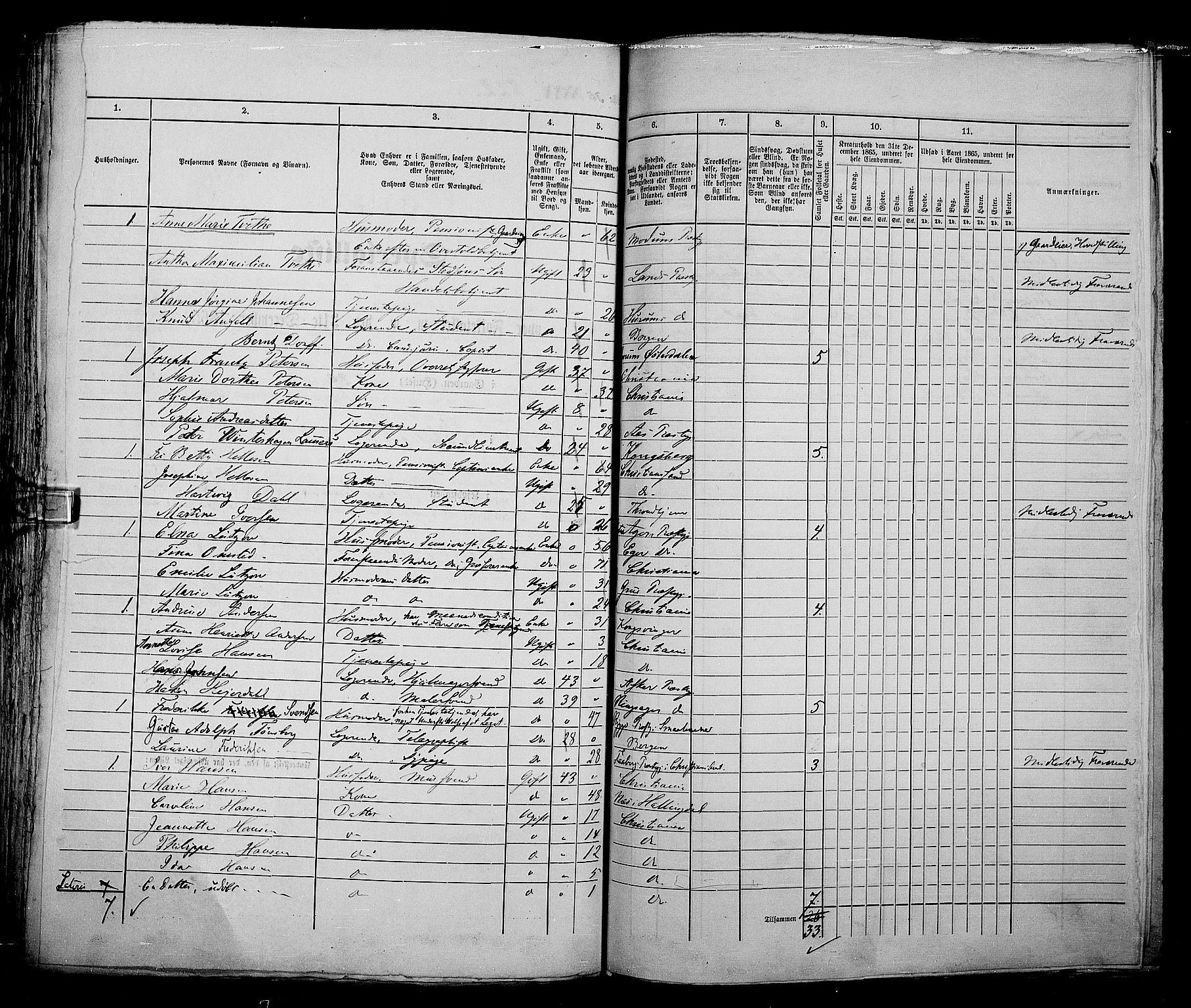 RA, 1865 census for Kristiania, 1865, p. 2096