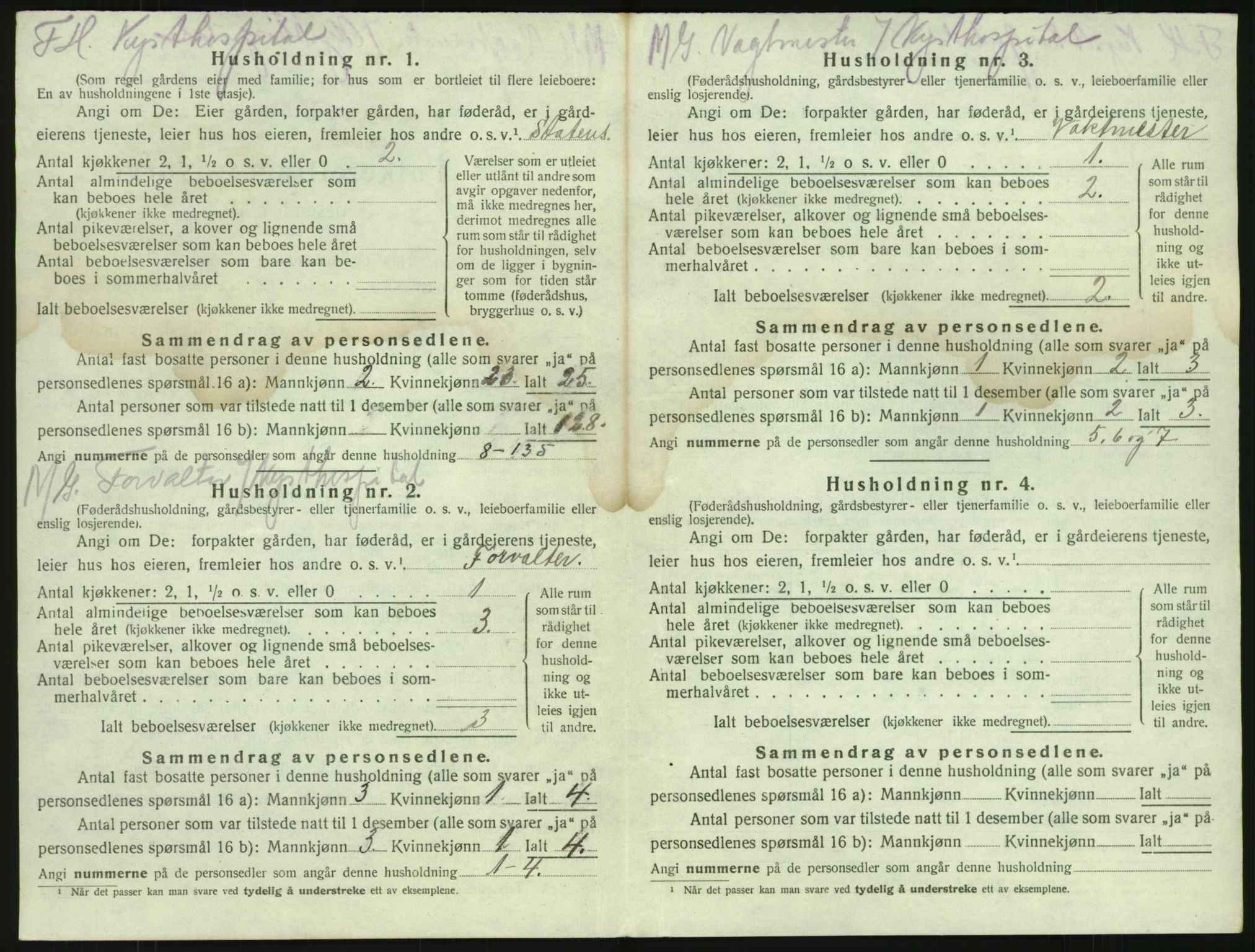 SAKO, 1920 census for Brunlanes, 1920, p. 468