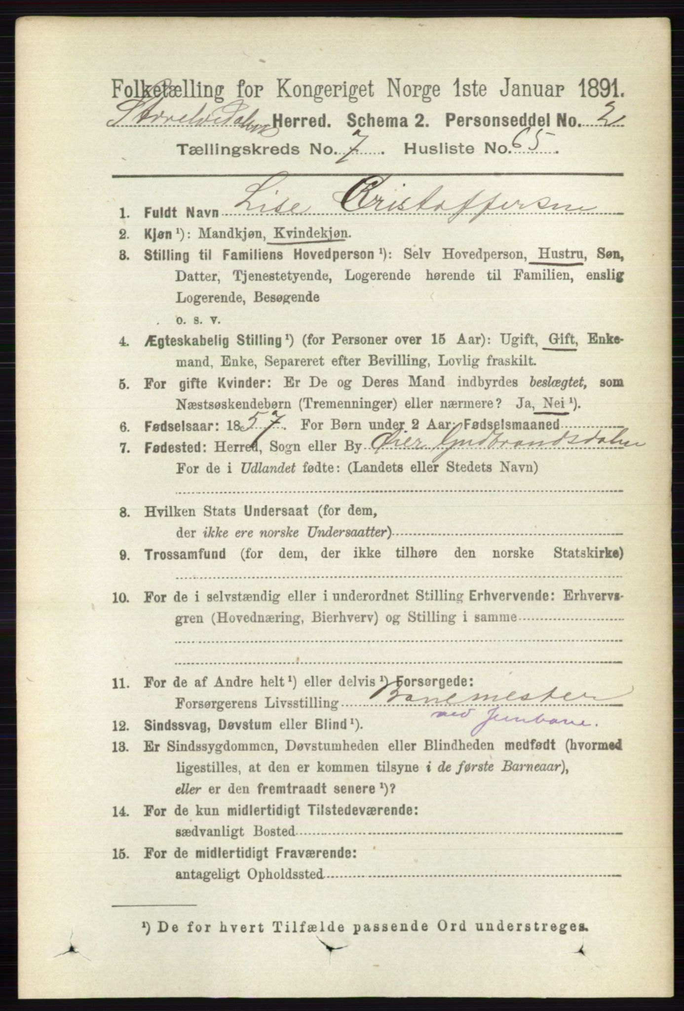 RA, 1891 census for 0430 Stor-Elvdal, 1891, p. 3180