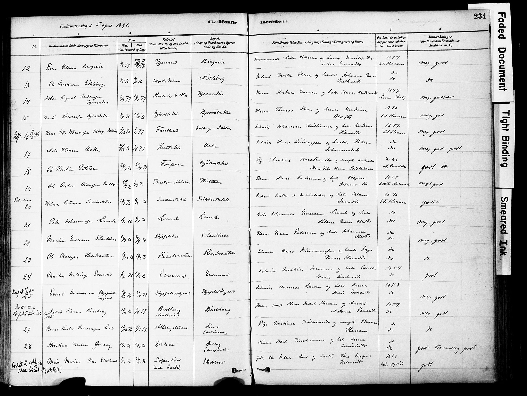 Østre Toten prestekontor, AV/SAH-PREST-104/H/Ha/Haa/L0006: Parish register (official) no. 6 /1, 1878-1896, p. 234