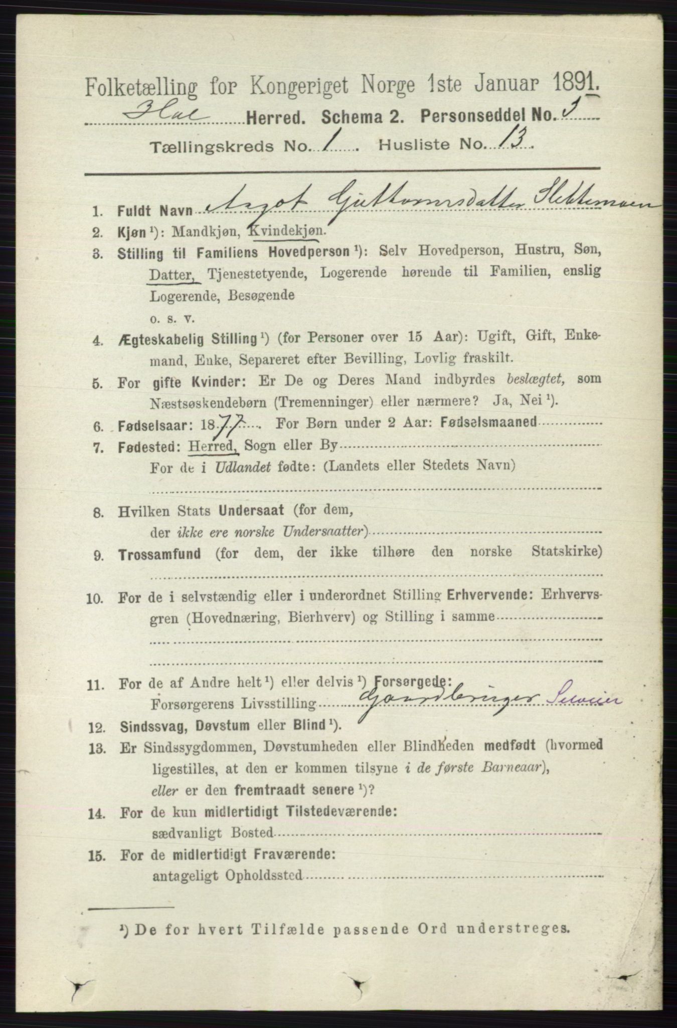 RA, 1891 census for 0620 Hol, 1891, p. 135