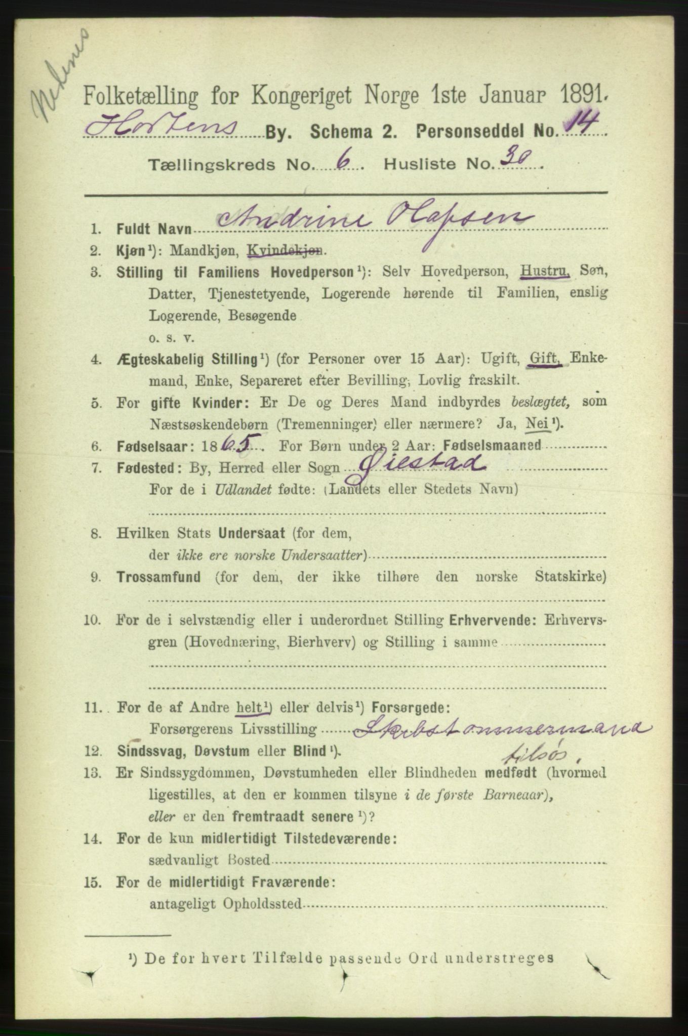 RA, 1891 census for 0703 Horten, 1891, p. 4032