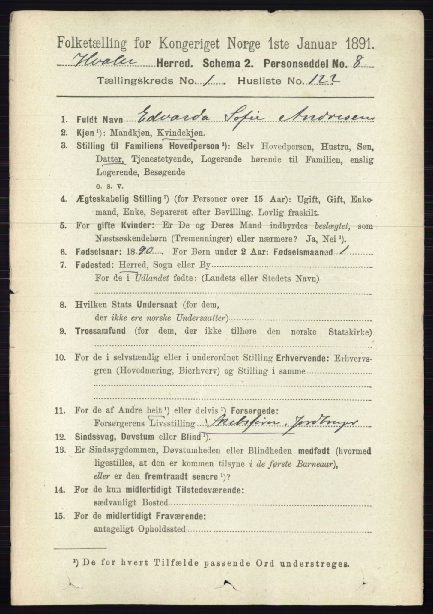 RA, 1891 census for 0111 Hvaler, 1891, p. 876